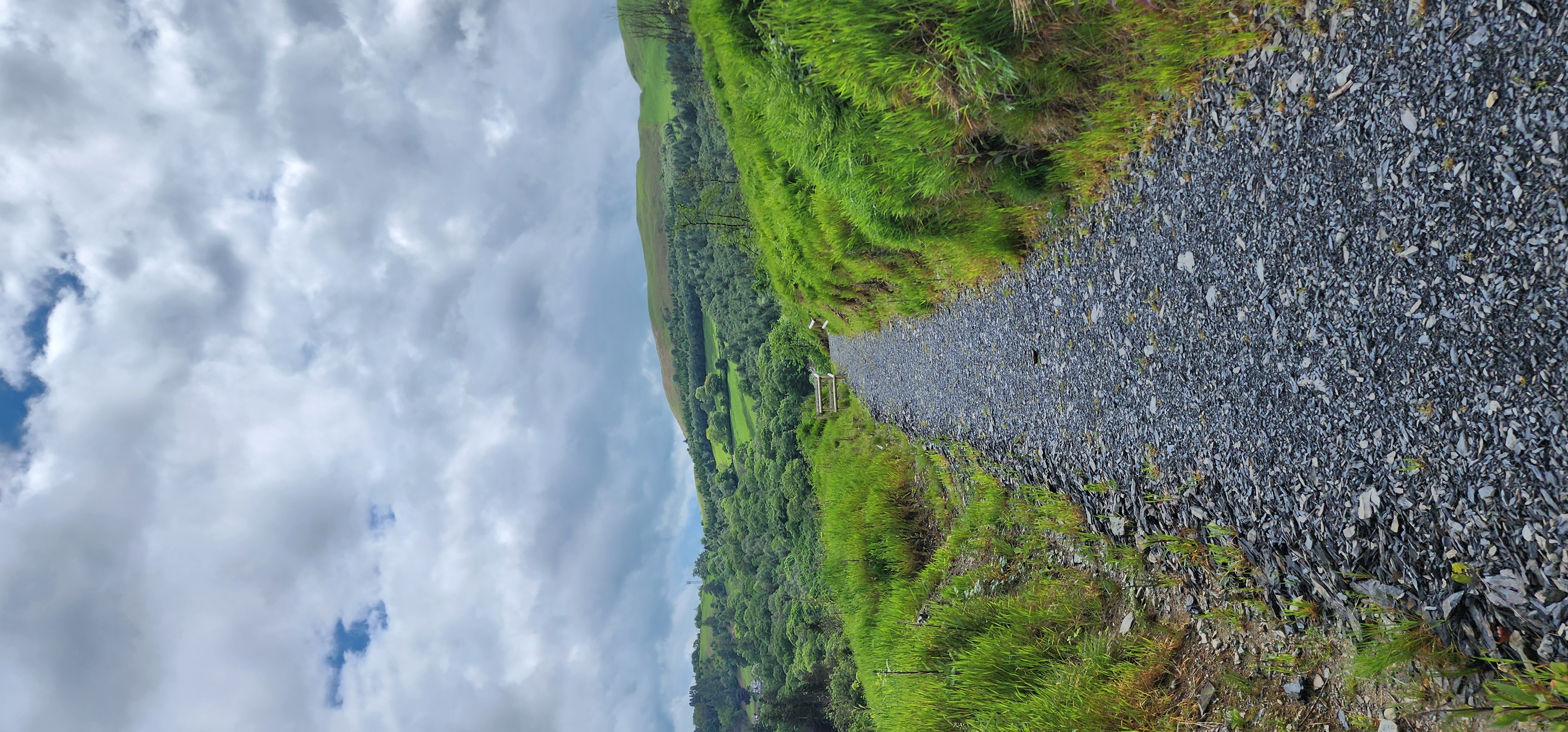 Lake Vyrnwy 159