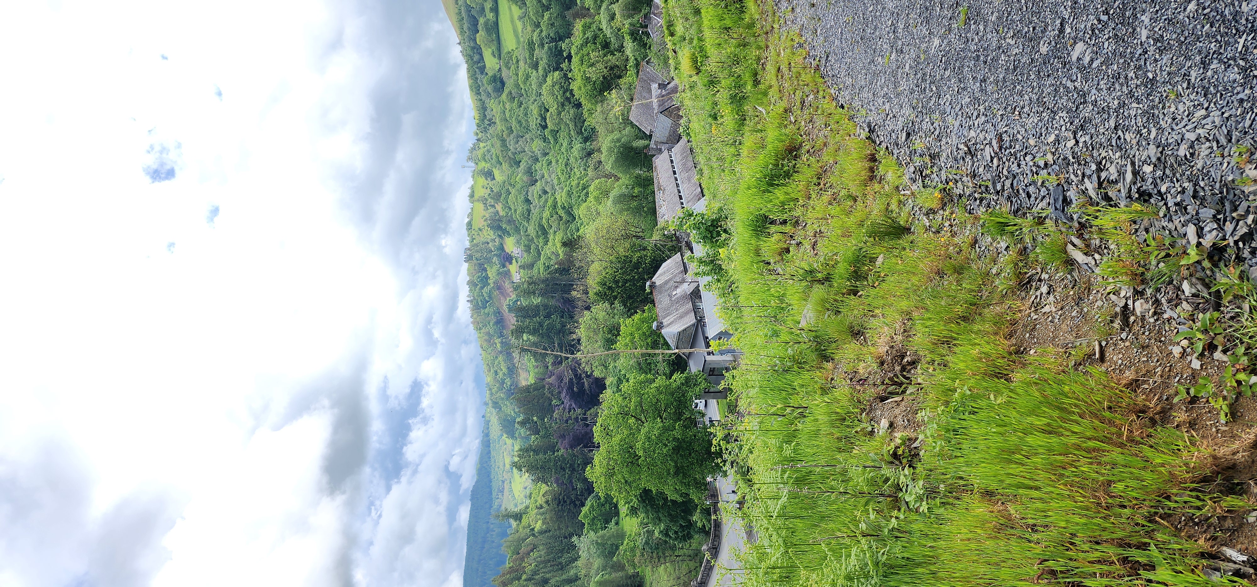 Lake Vyrnwy 161
