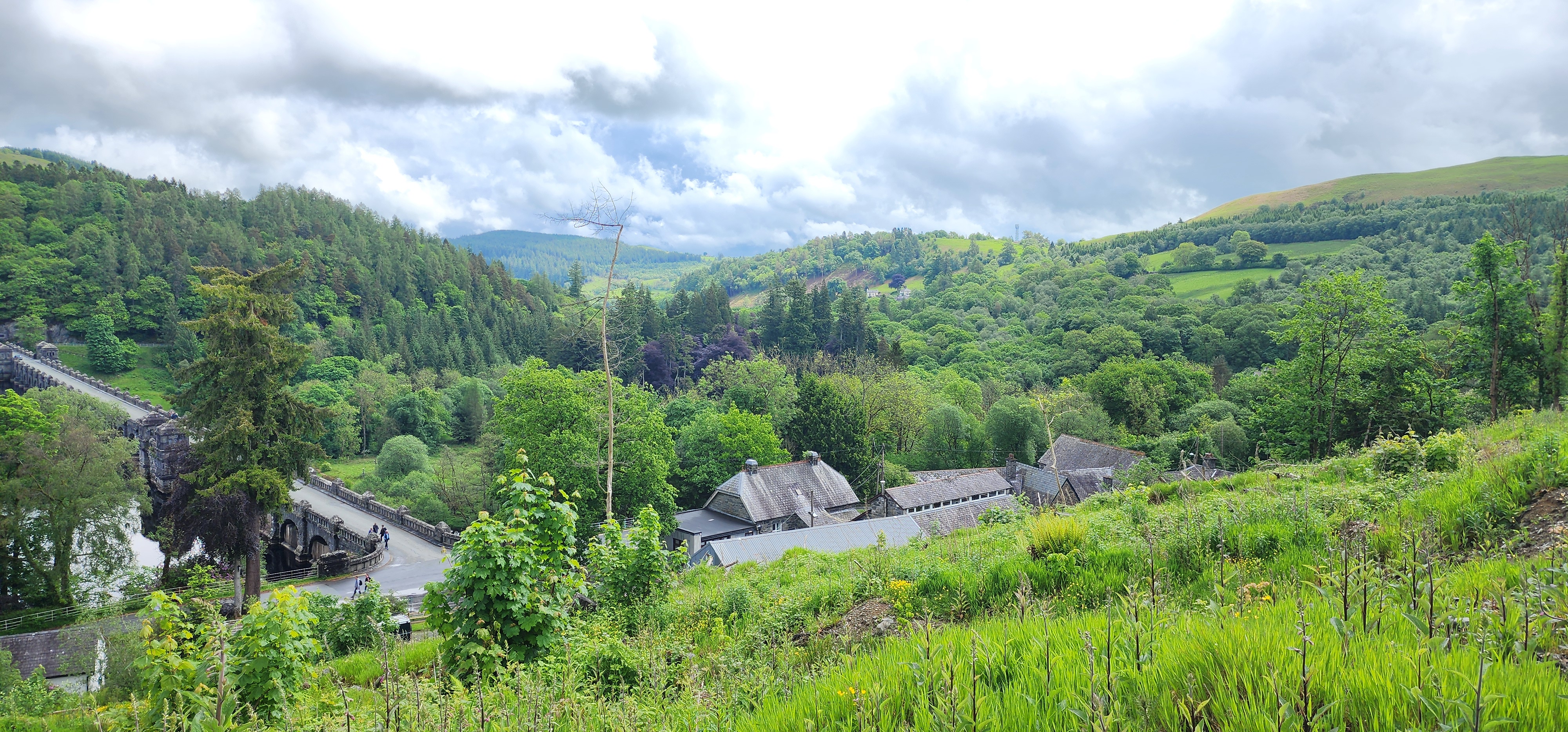 Lake Vyrnwy 163