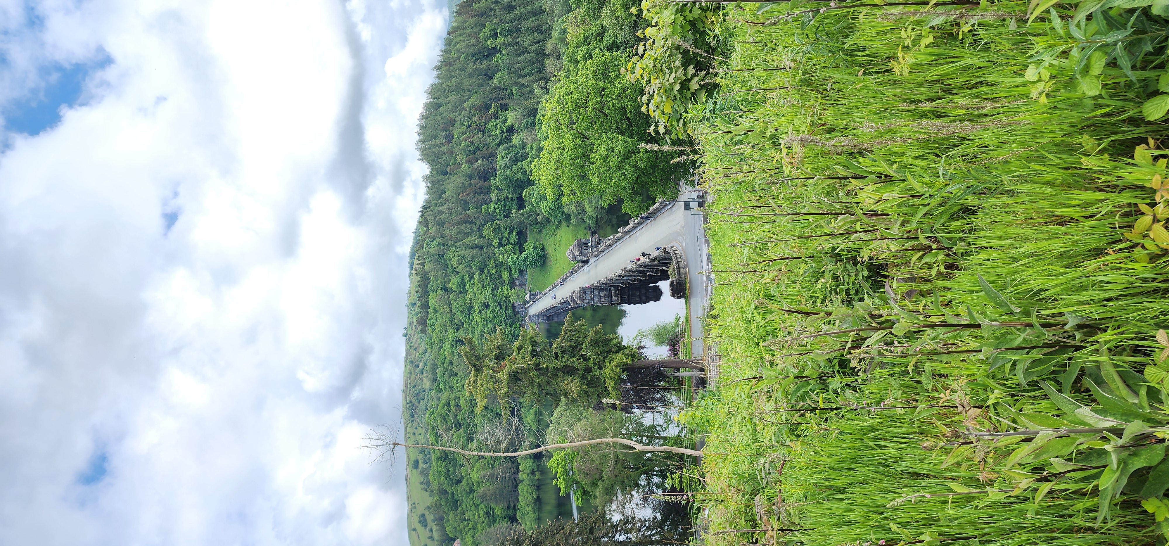 Lake Vyrnwy 165