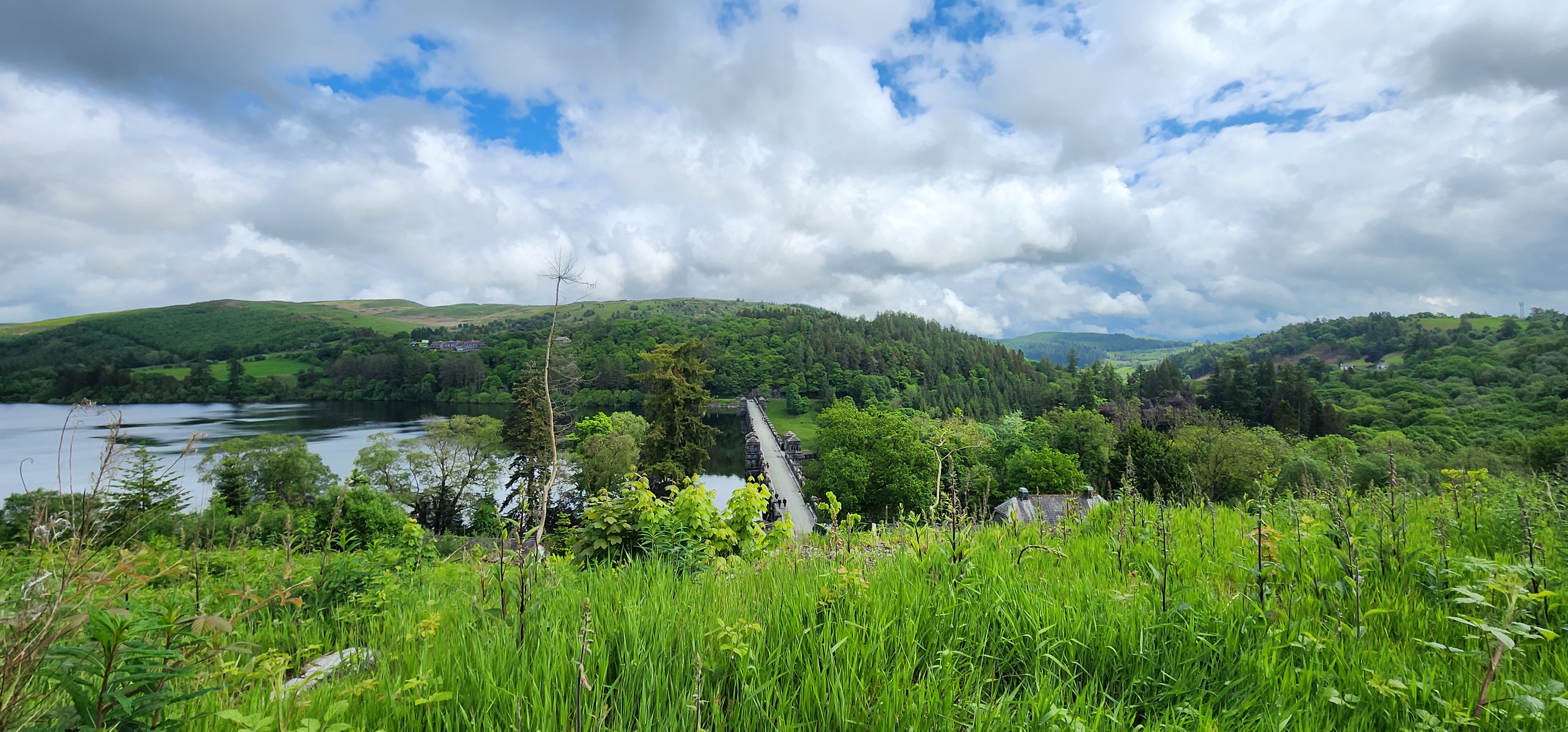Lake Vyrnwy 169