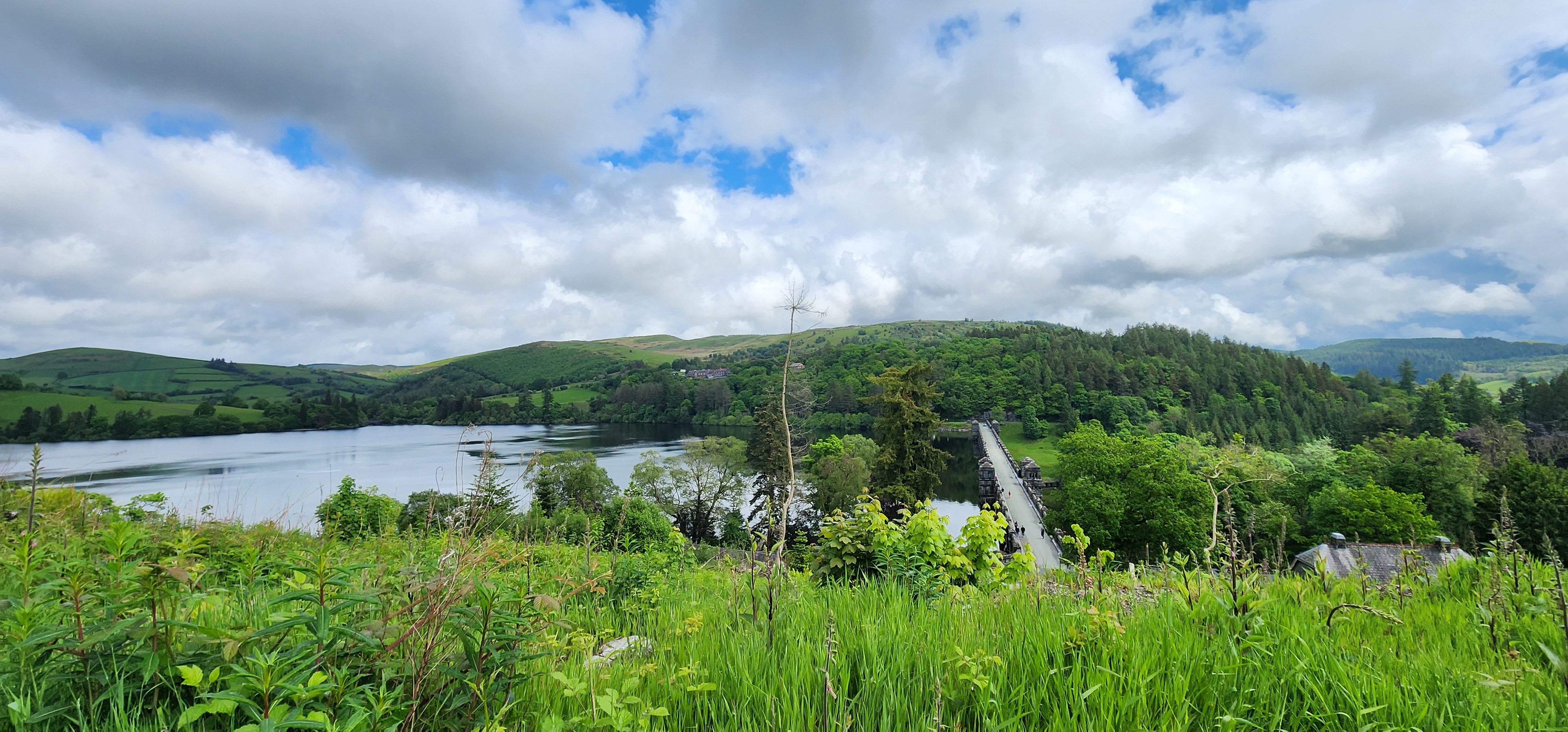 Lake Vyrnwy 170