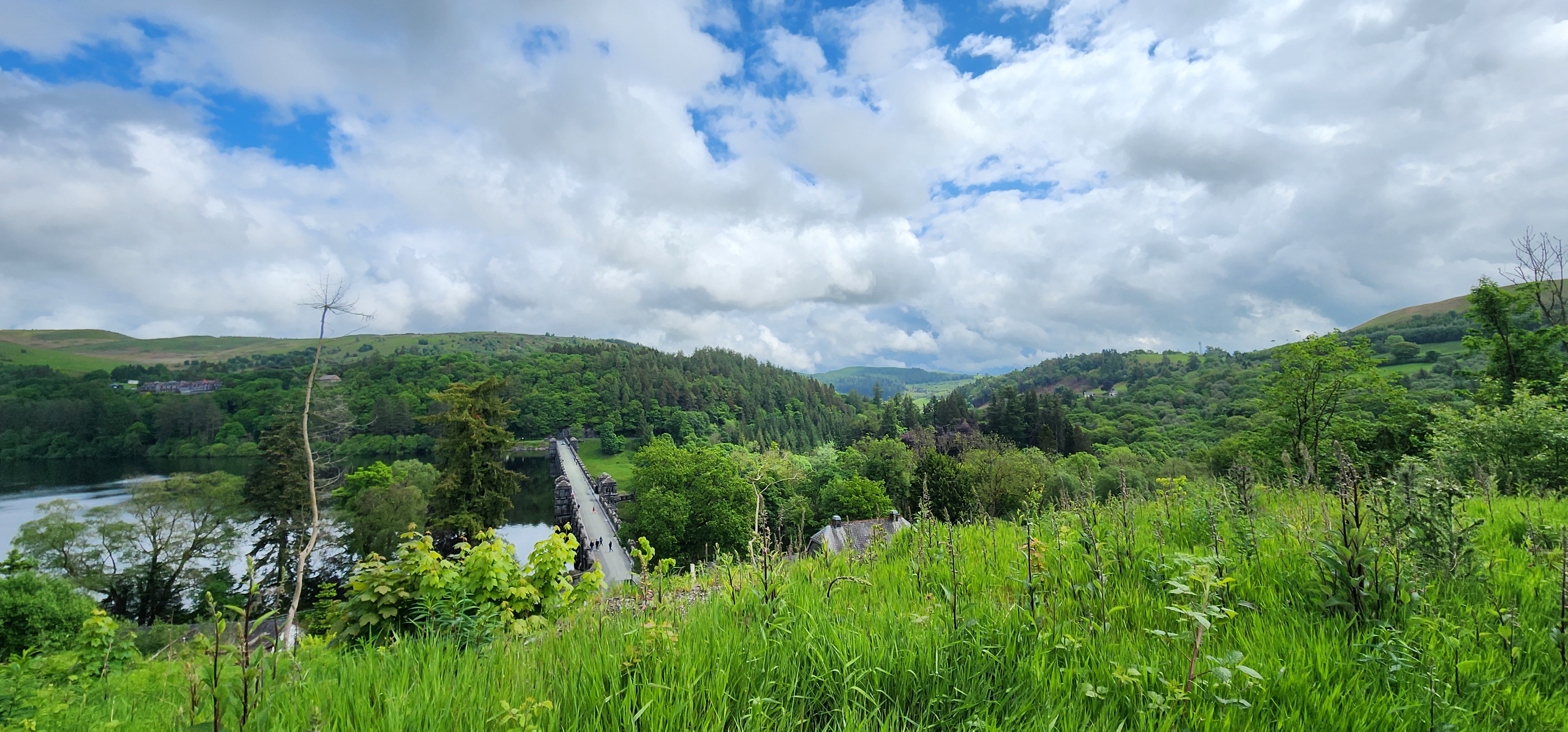Lake Vyrnwy 171