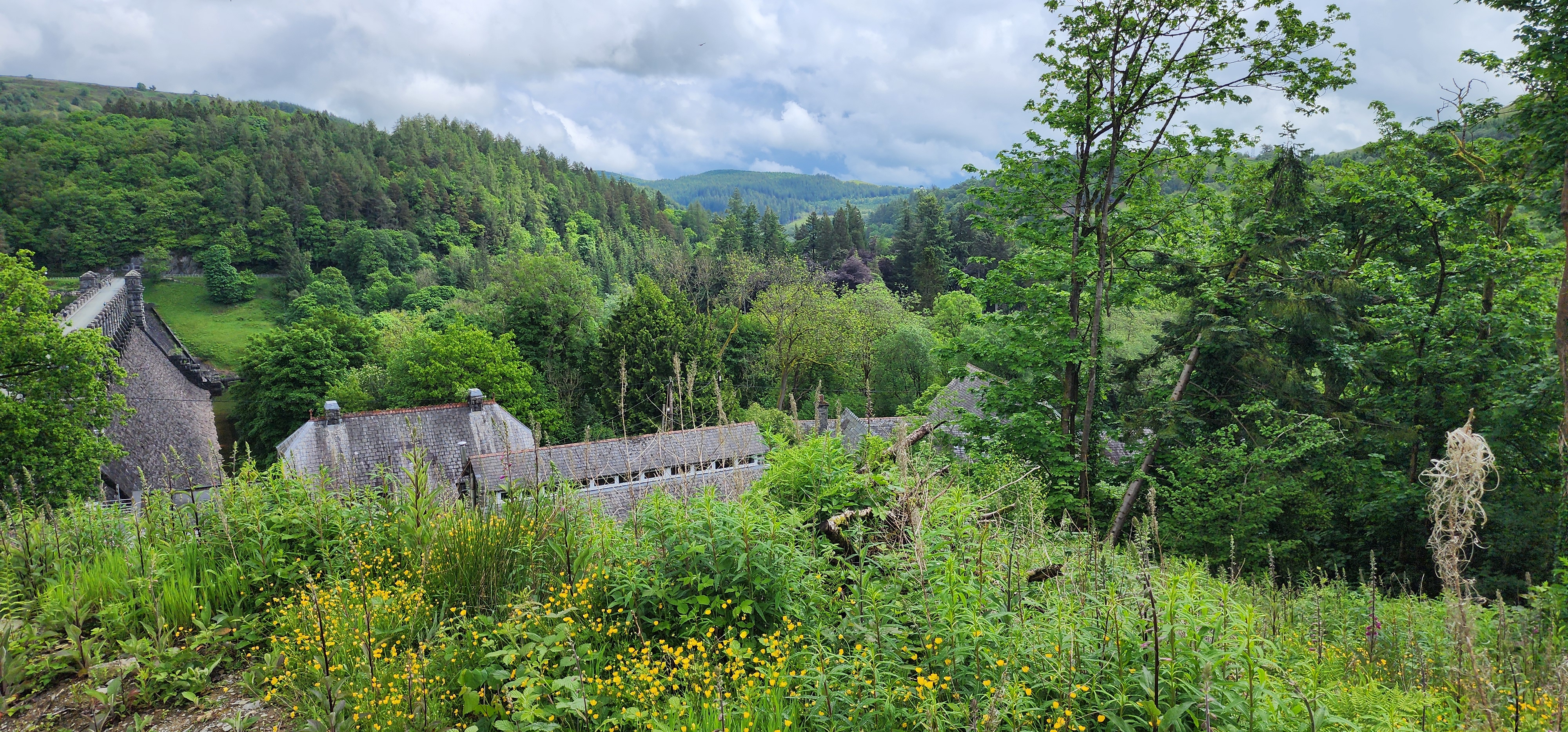 Lake Vyrnwy 172