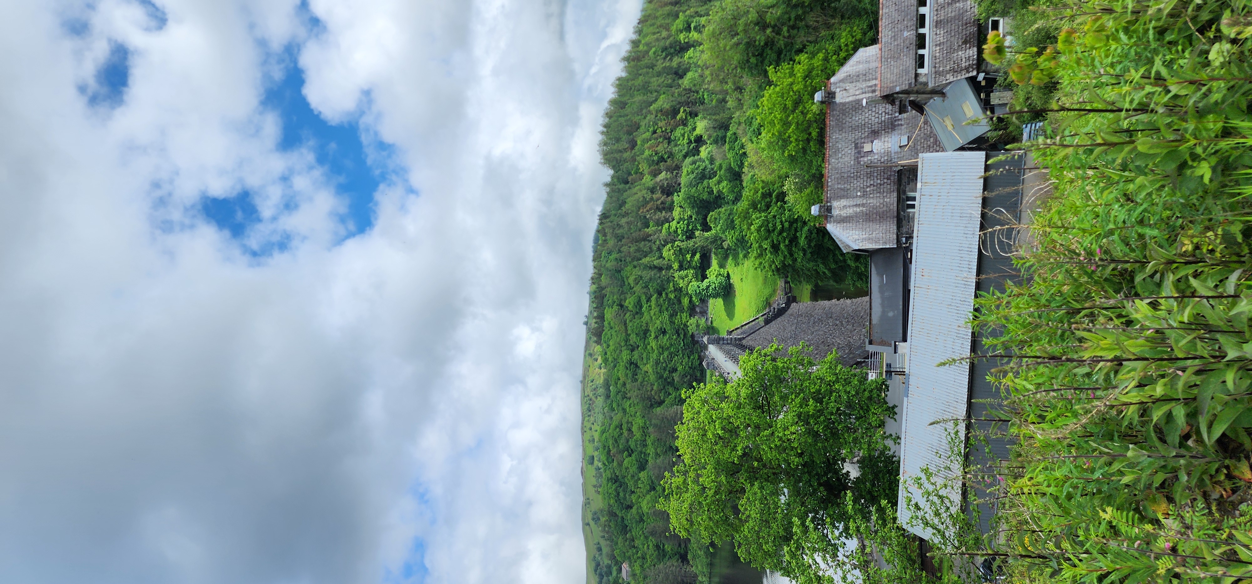 Lake Vyrnwy 174