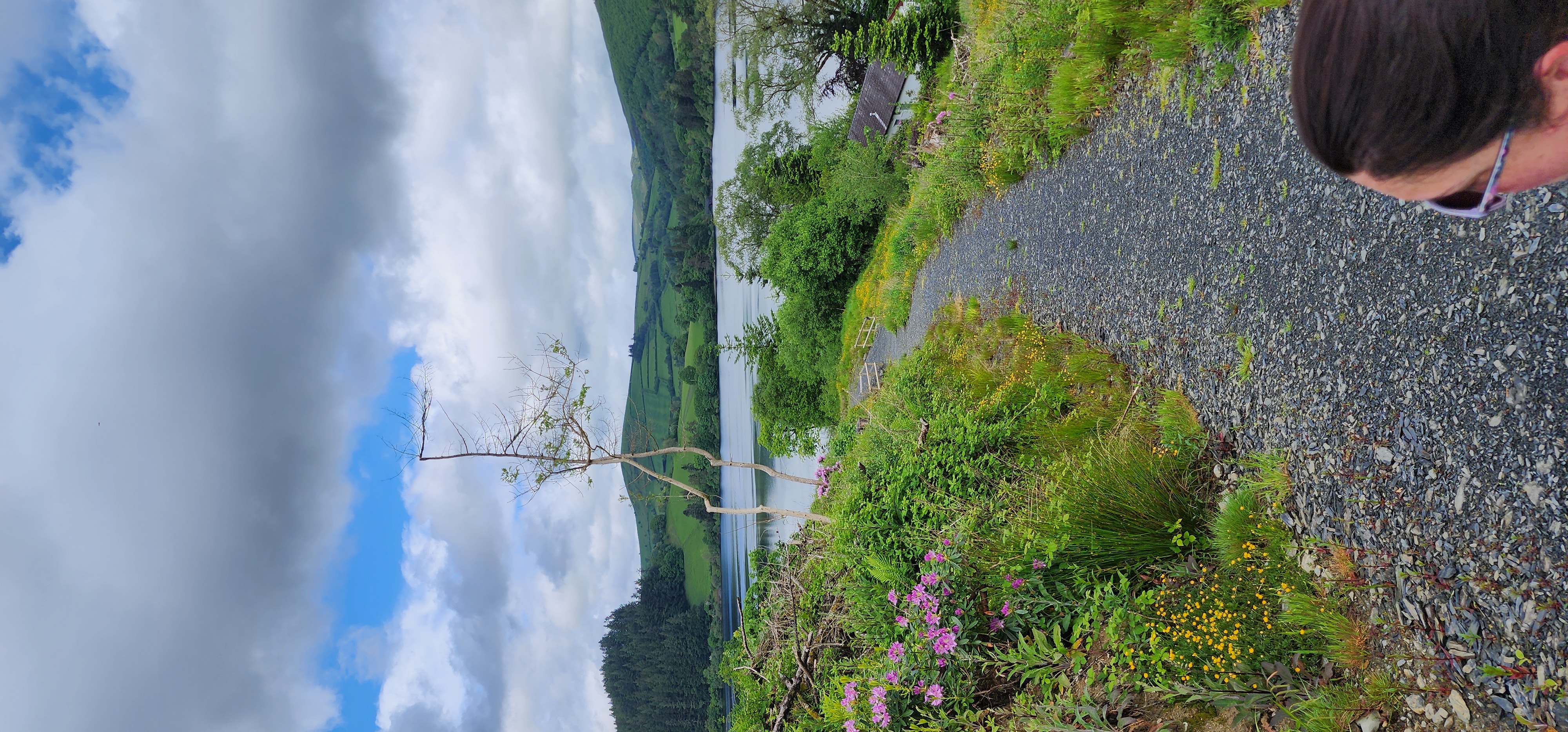 Lake Vyrnwy 175