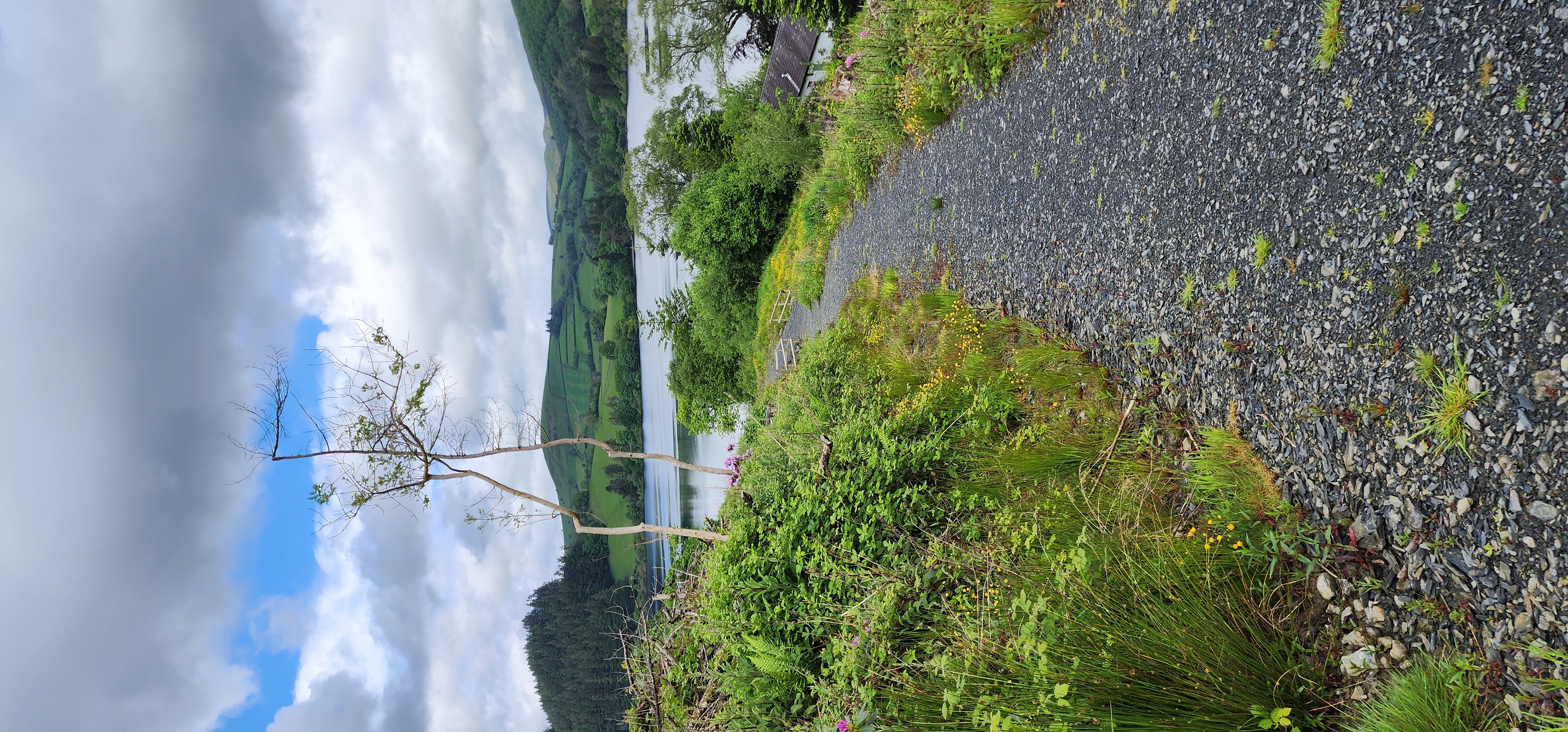 Lake Vyrnwy 176