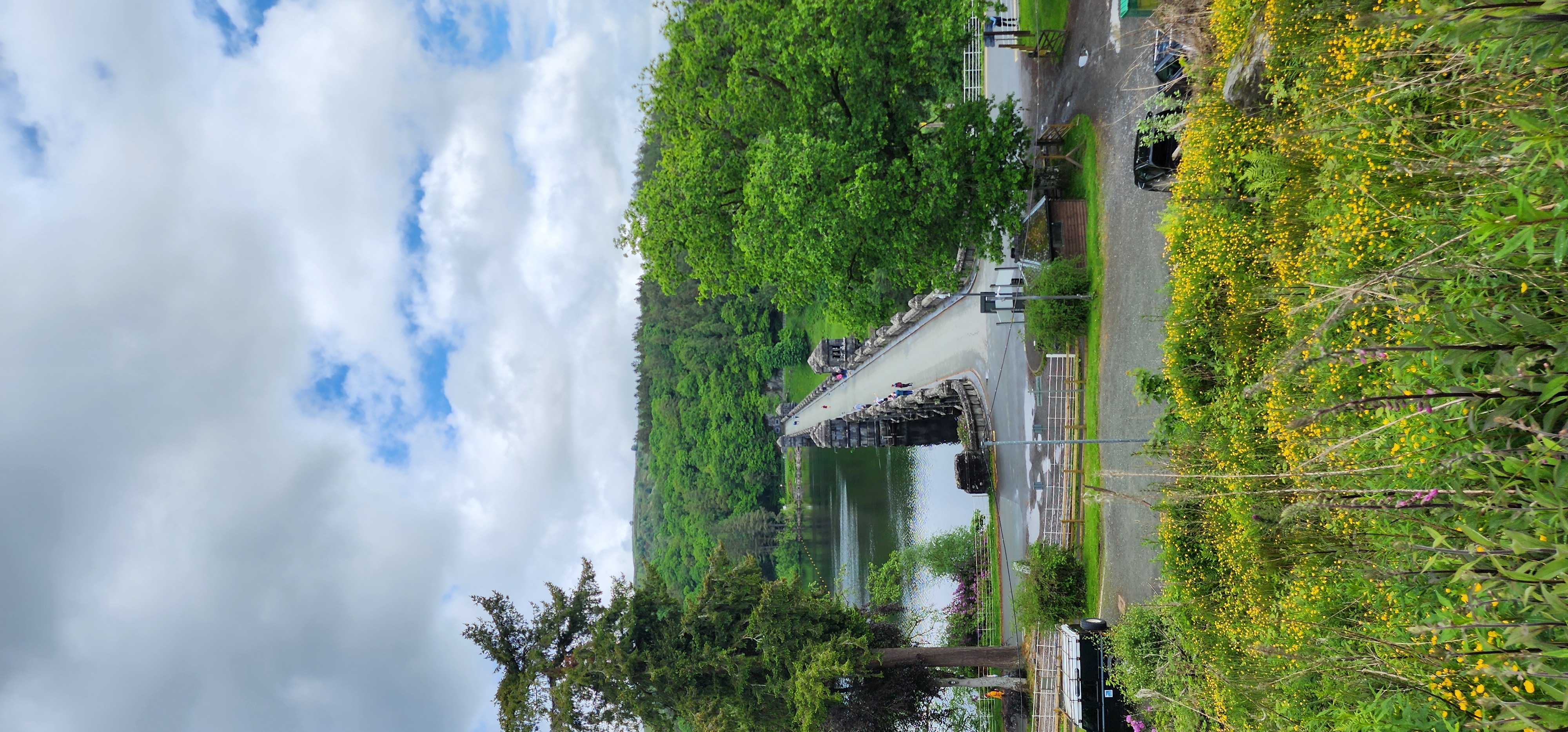 Lake Vyrnwy 179