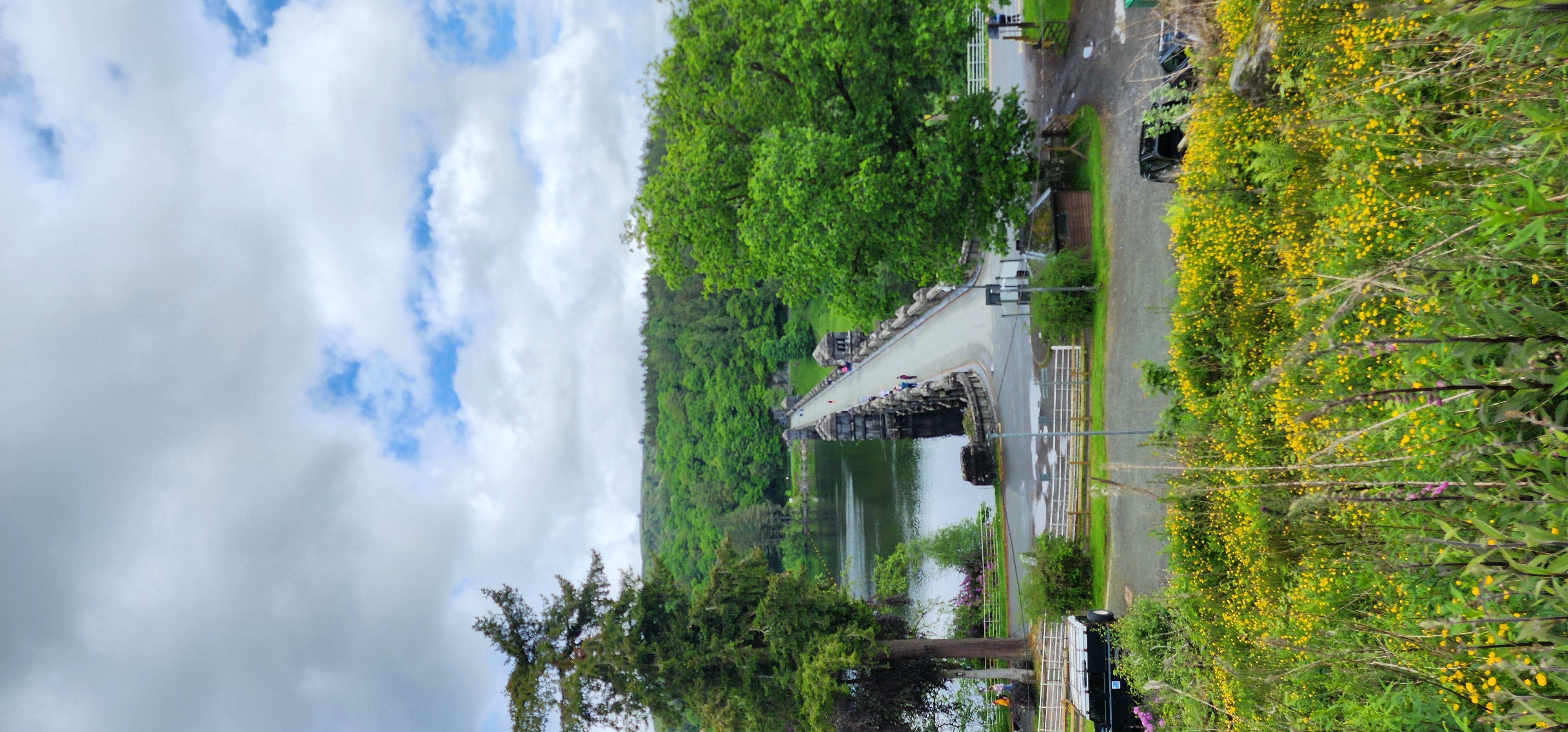 Lake Vyrnwy 181