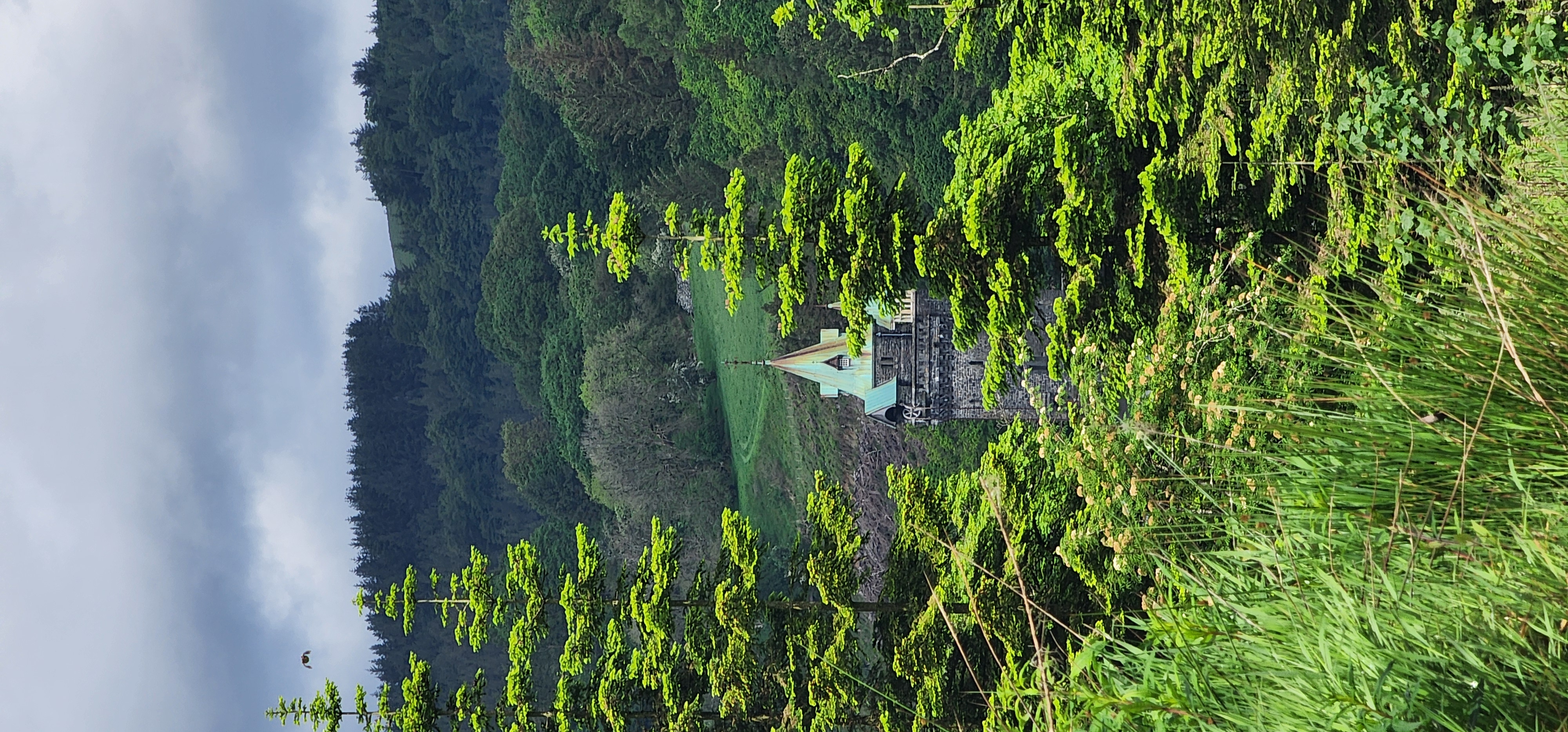 Lake Vyrnwy 183
