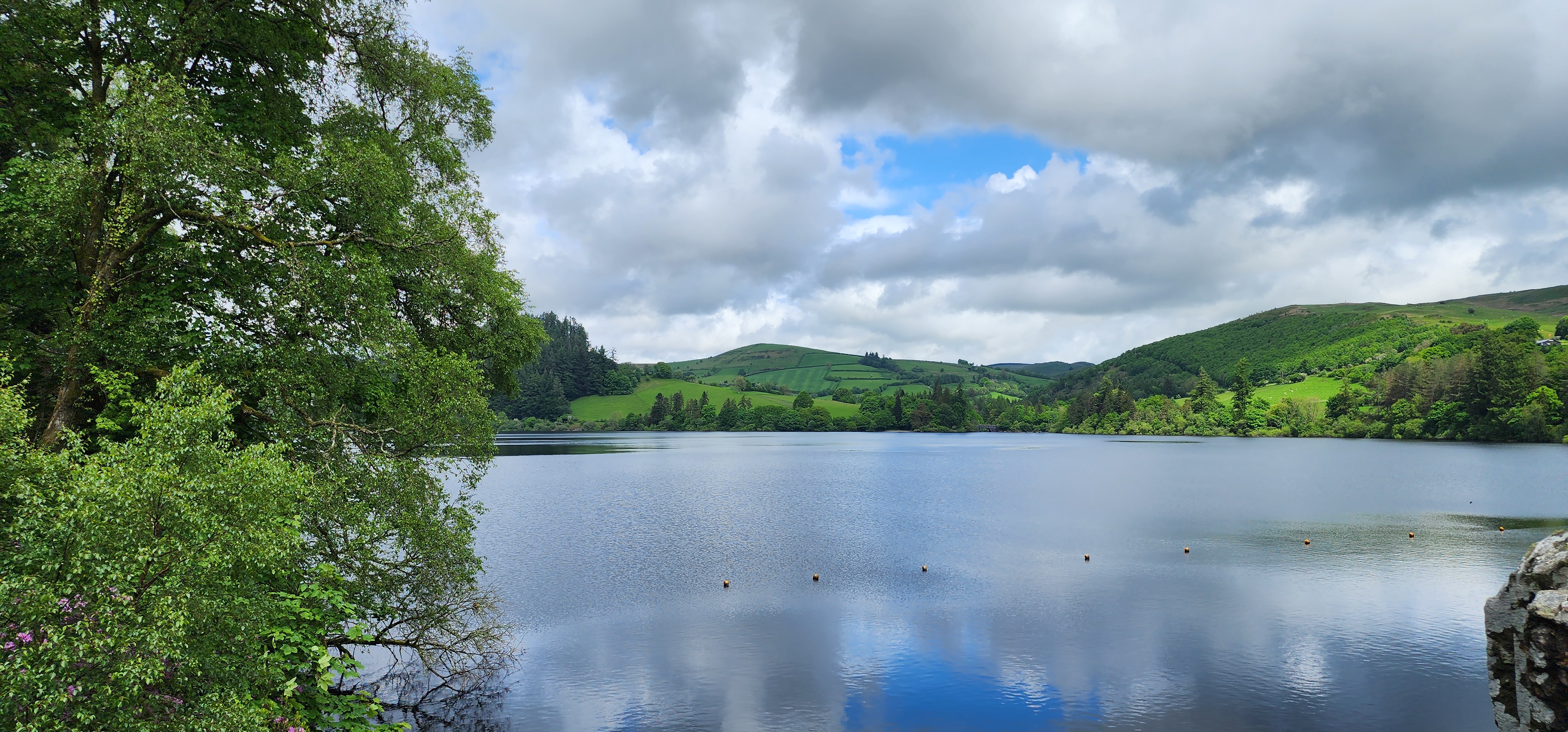 Lake Vyrnwy 185