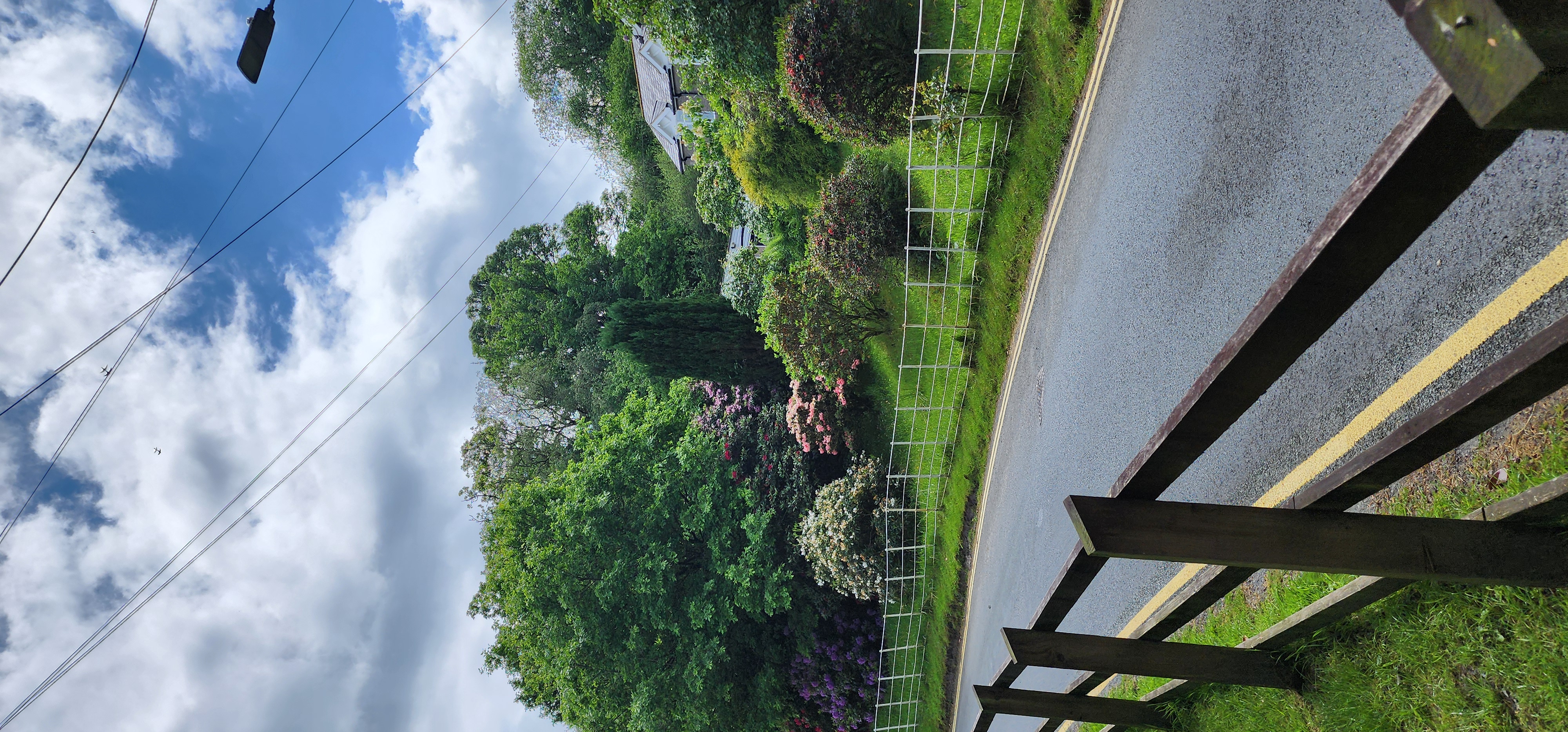 Lake Vyrnwy 209