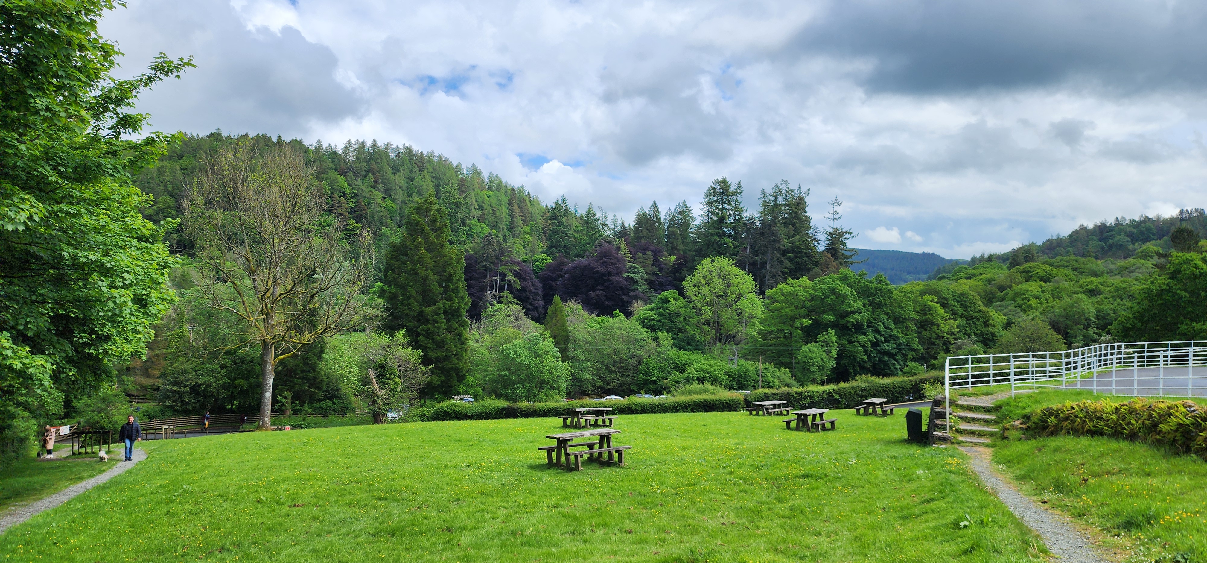 Lake Vyrnwy 211
