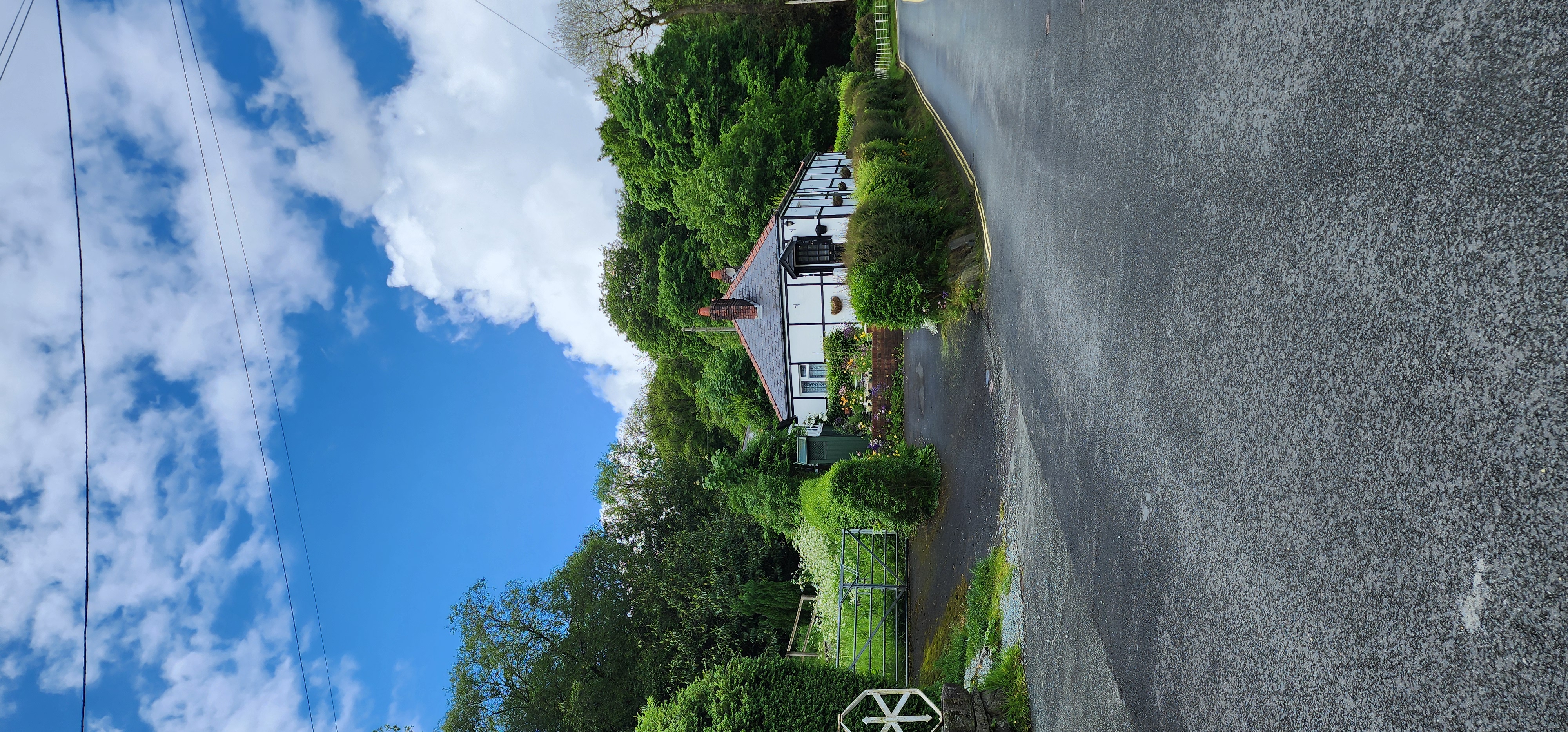 Lake Vyrnwy 215