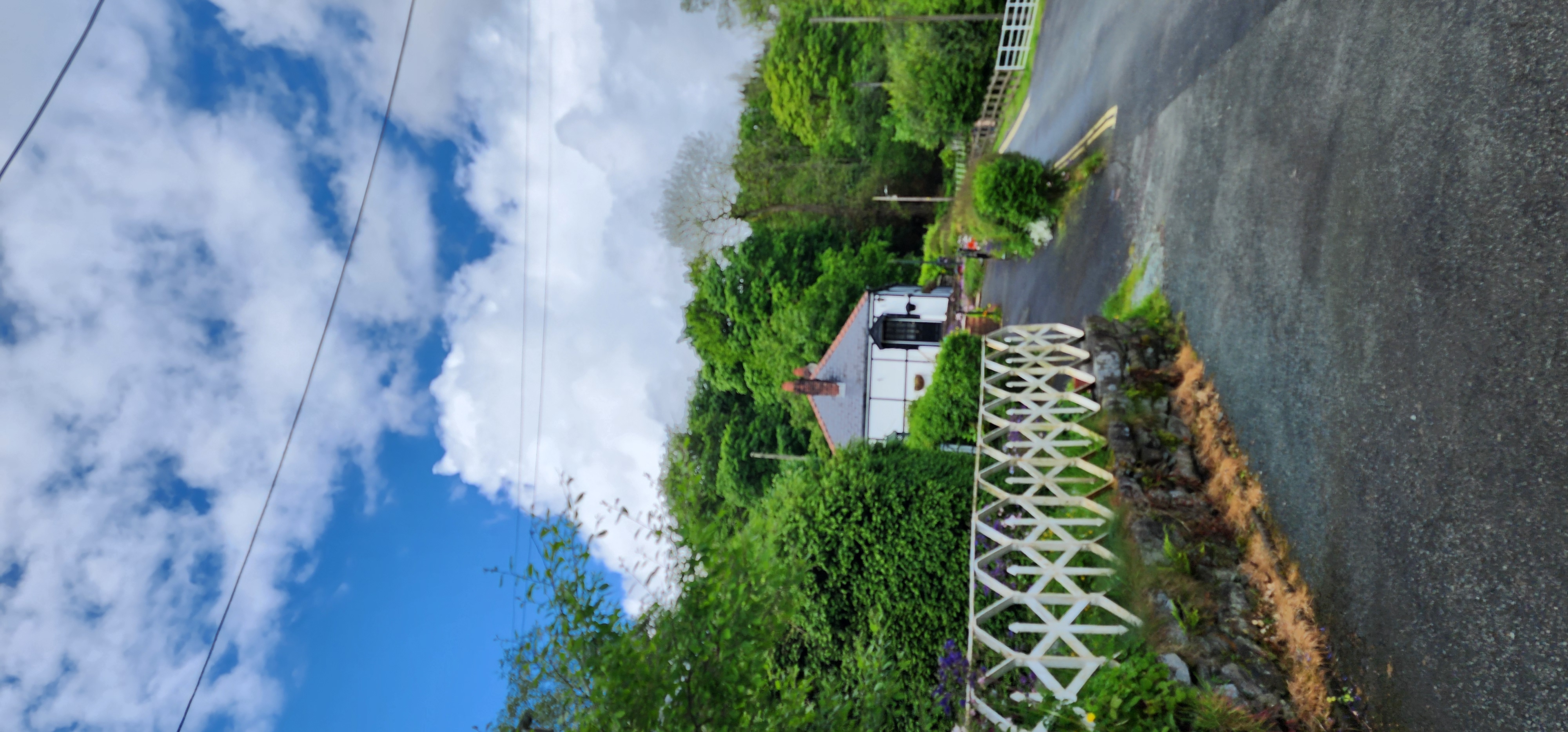 Lake Vyrnwy 216