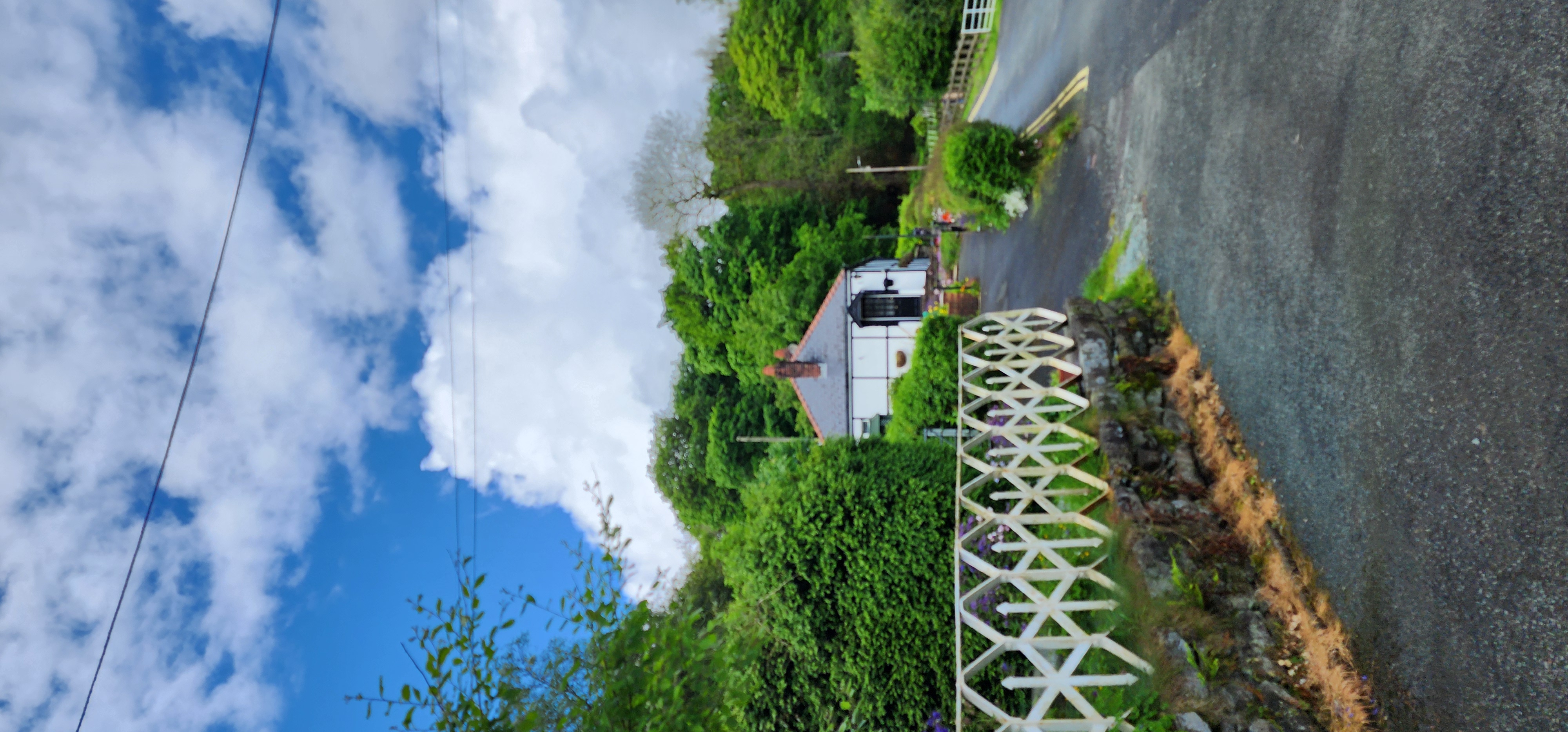Lake Vyrnwy 217