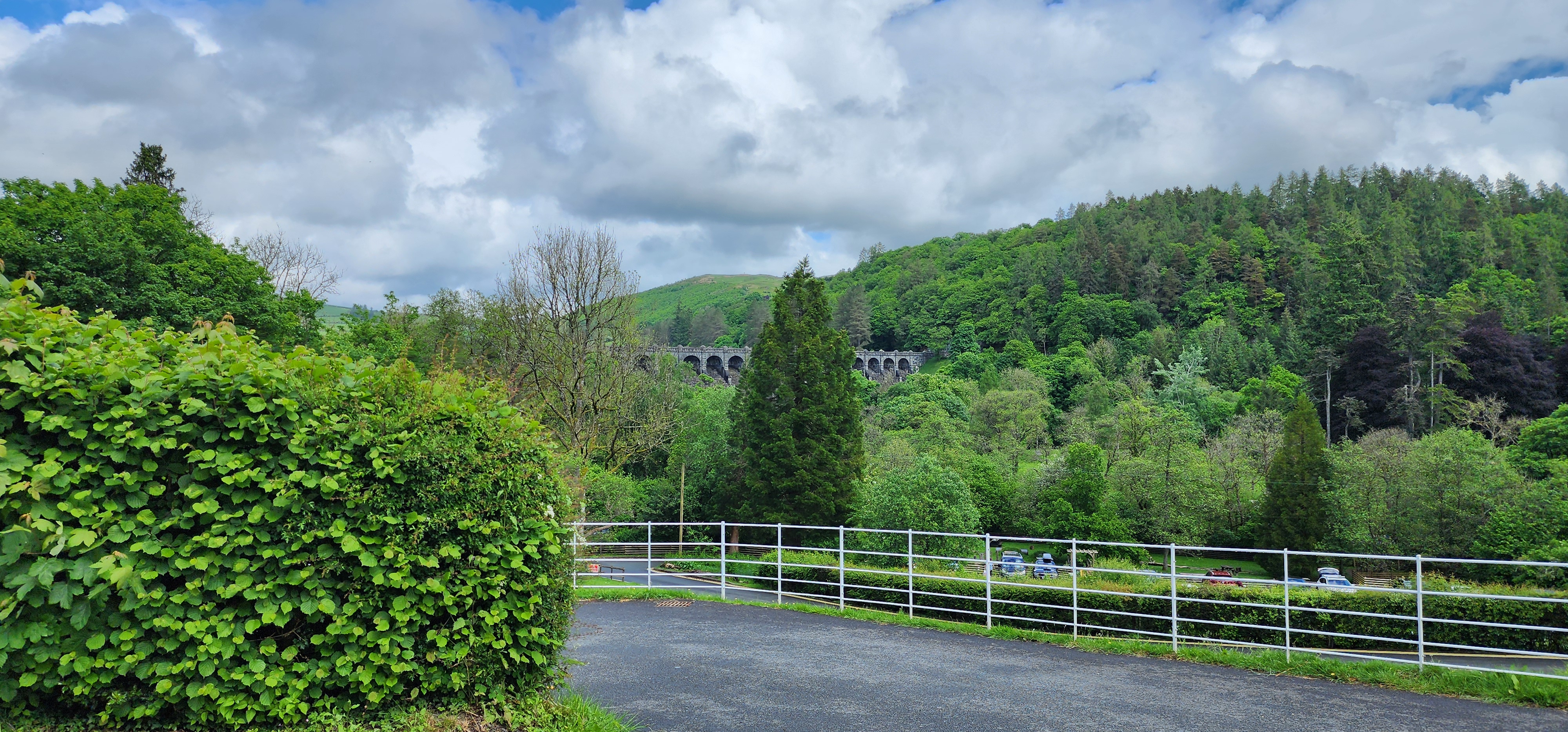 Lake Vyrnwy 218