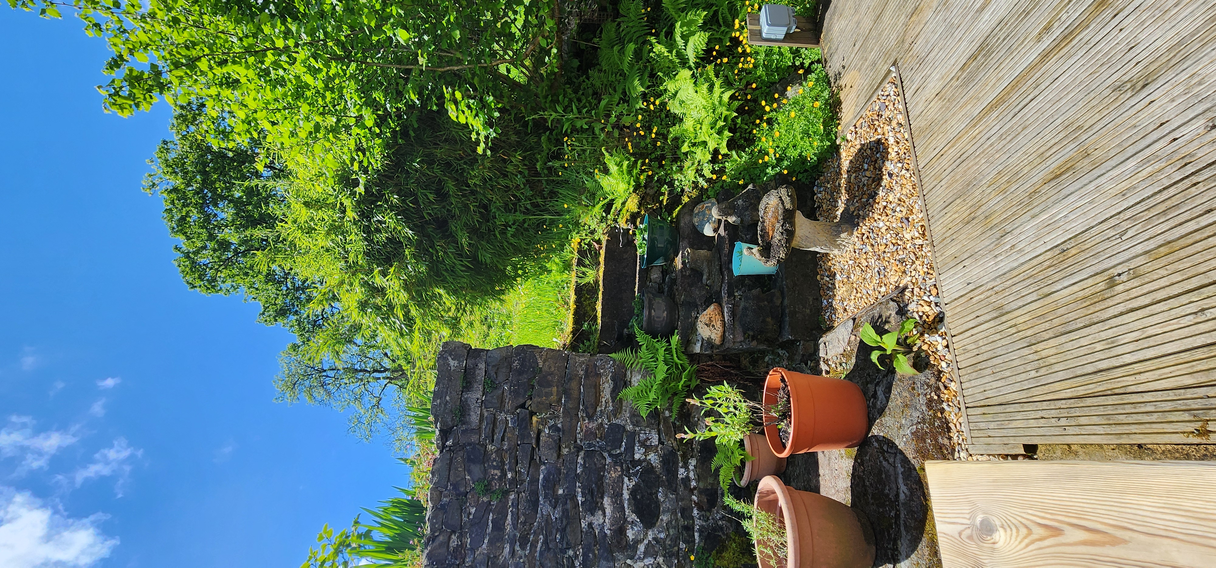 Lake Vyrnwy 238