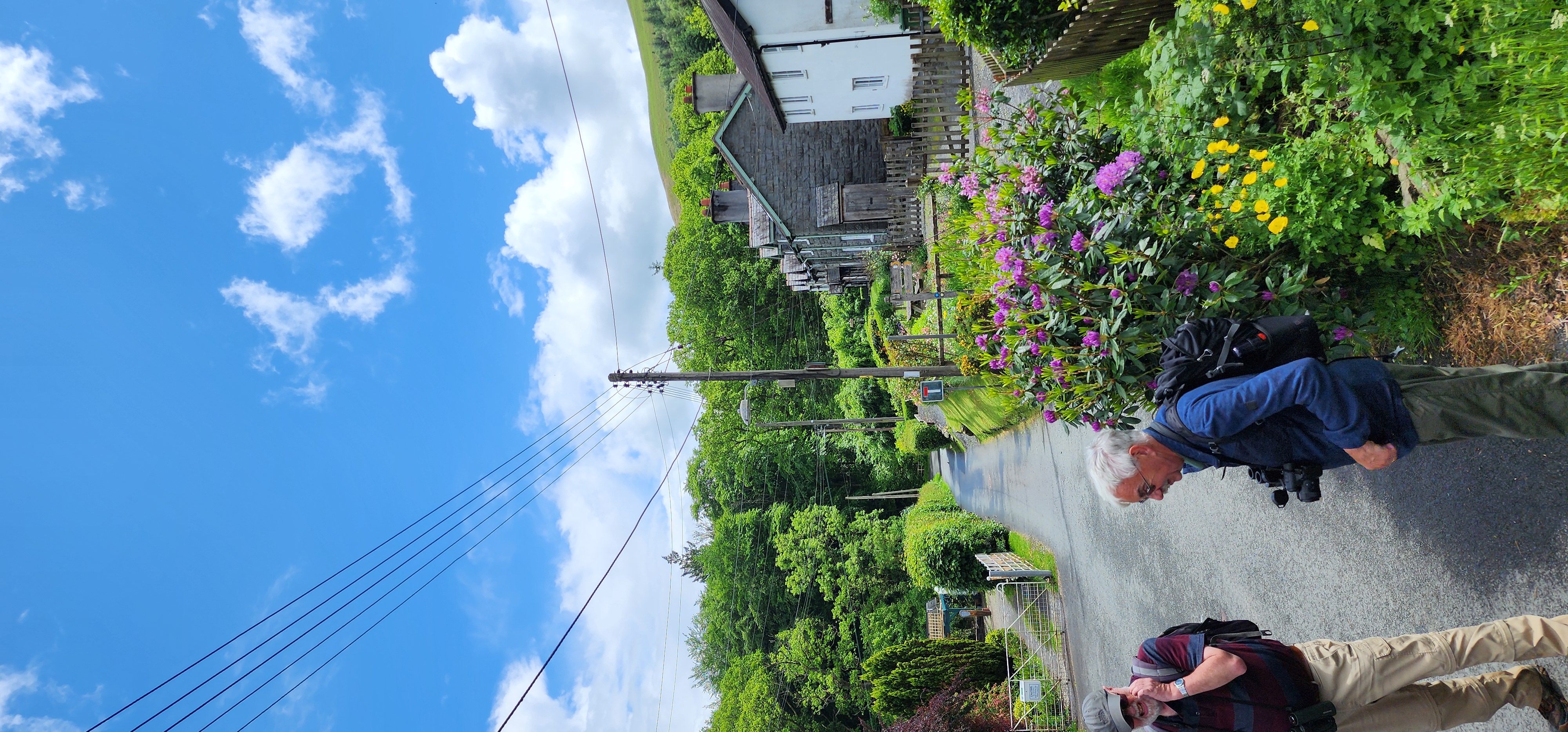 Lake Vyrnwy 239