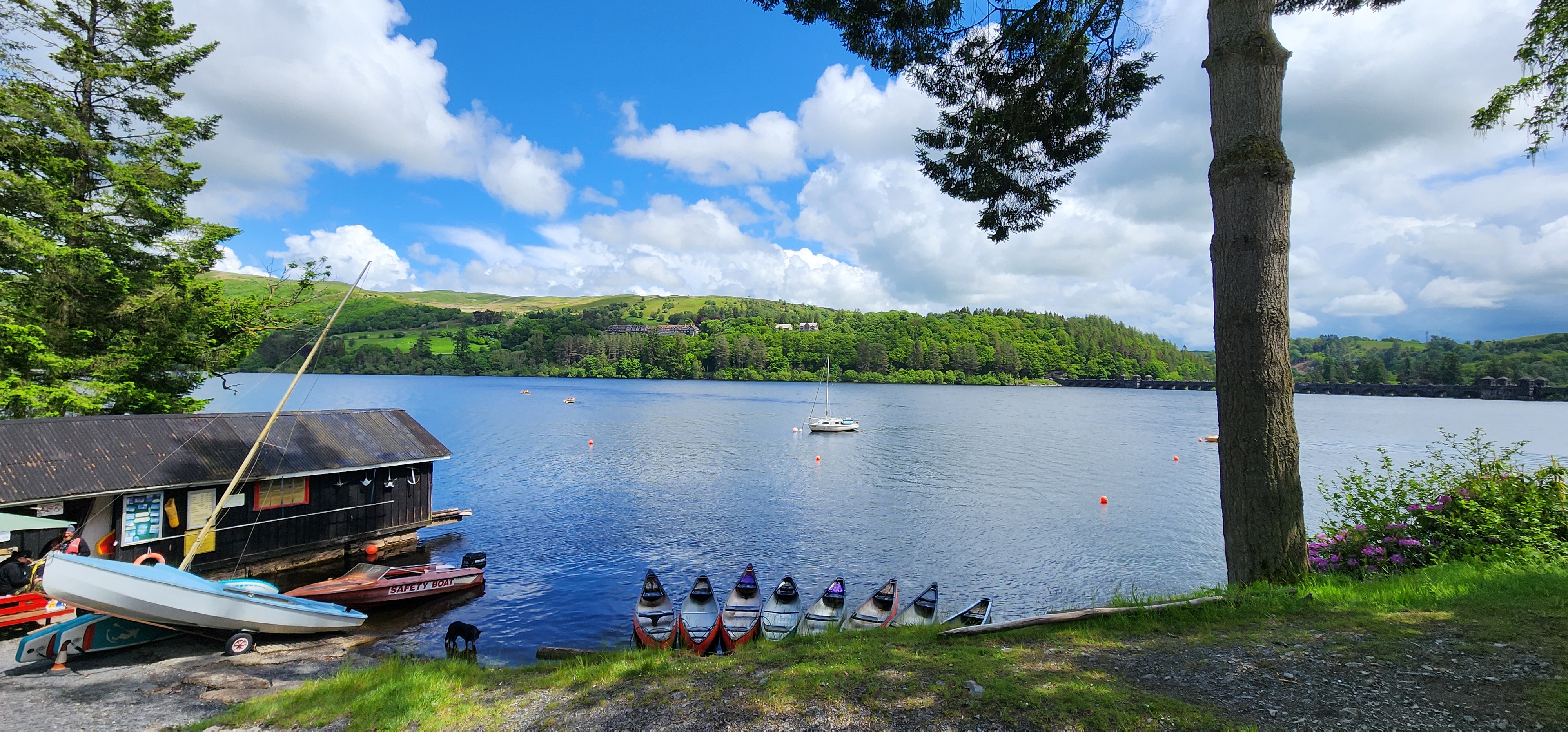 Lake Vyrnwy 244