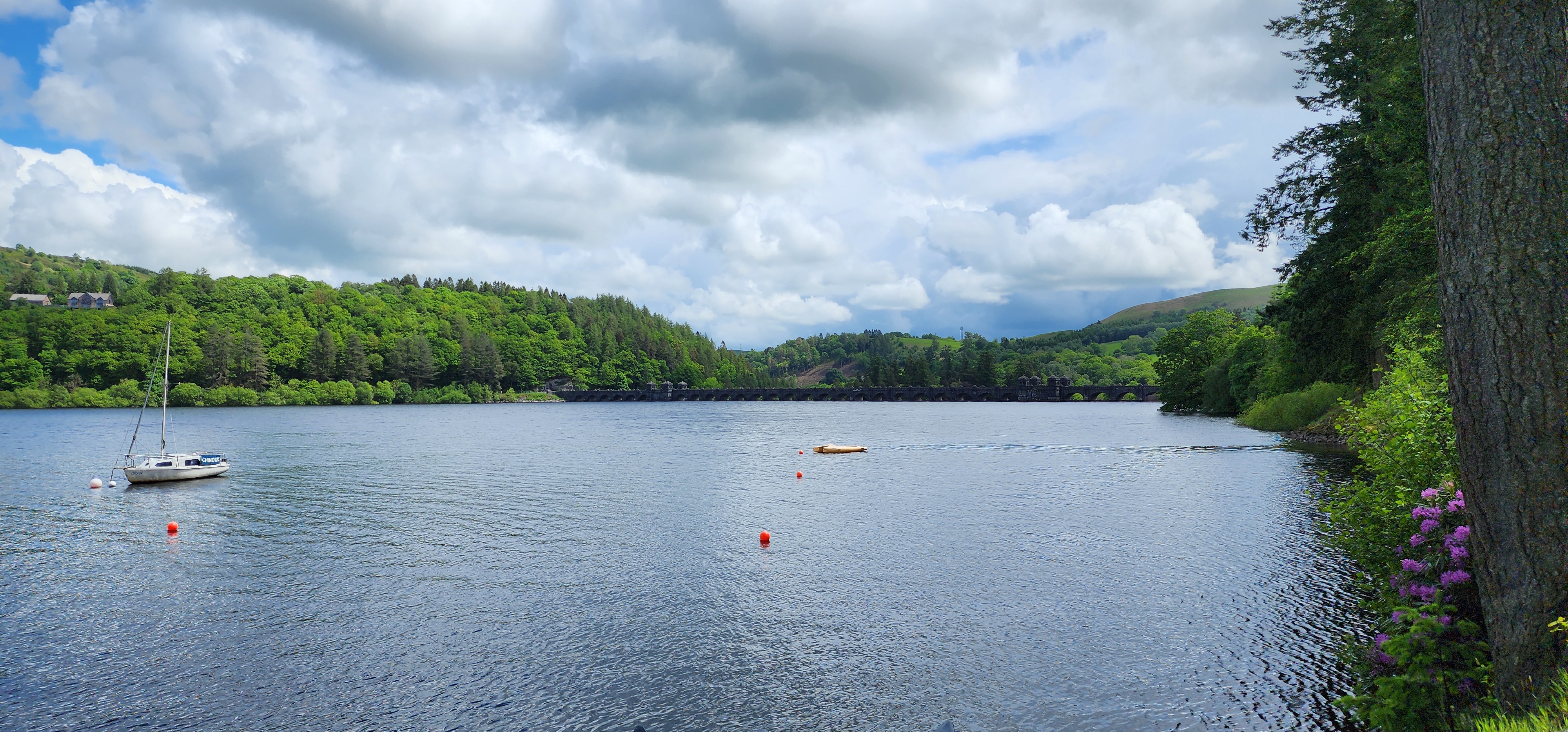 Lake Vyrnwy 245