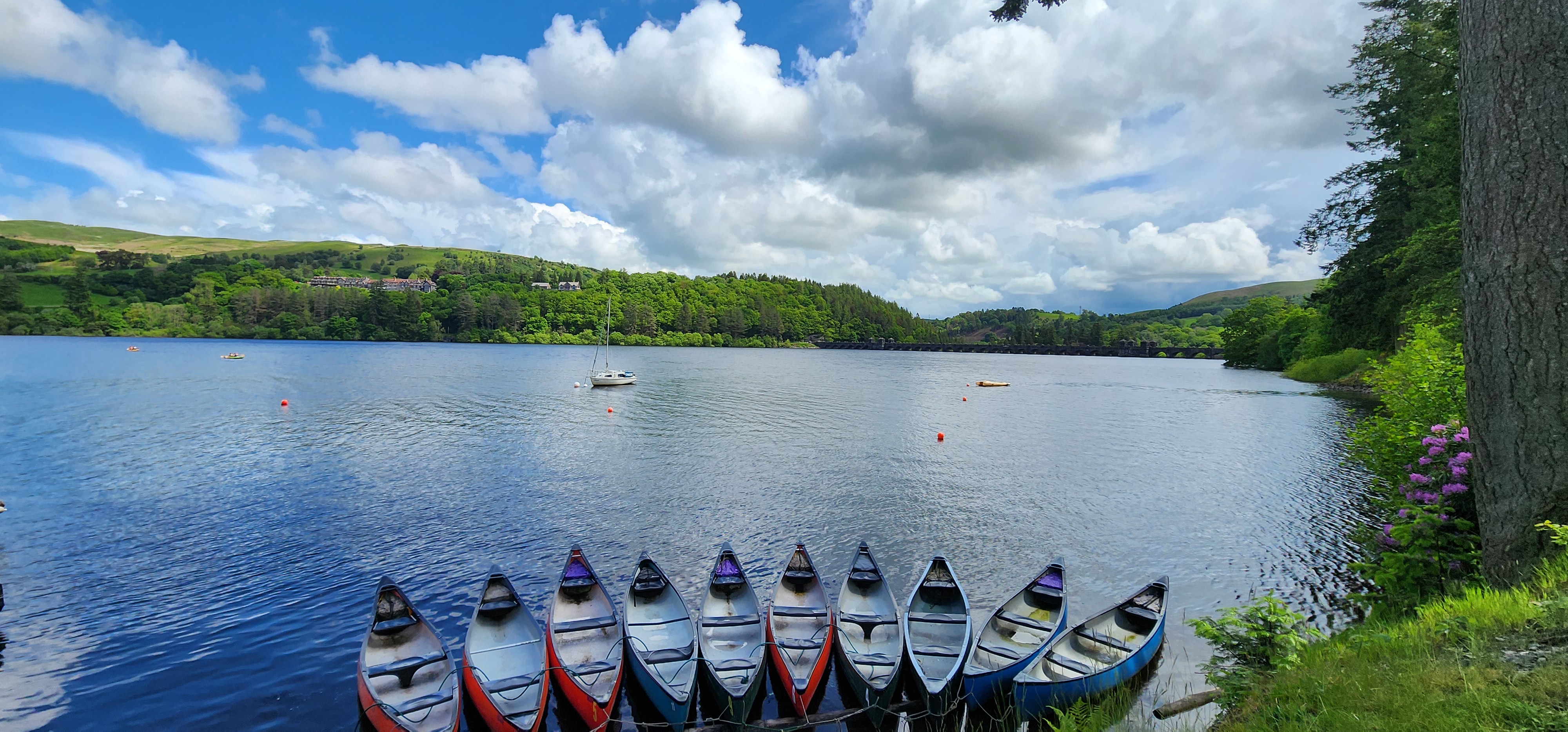 Lake Vyrnwy 246