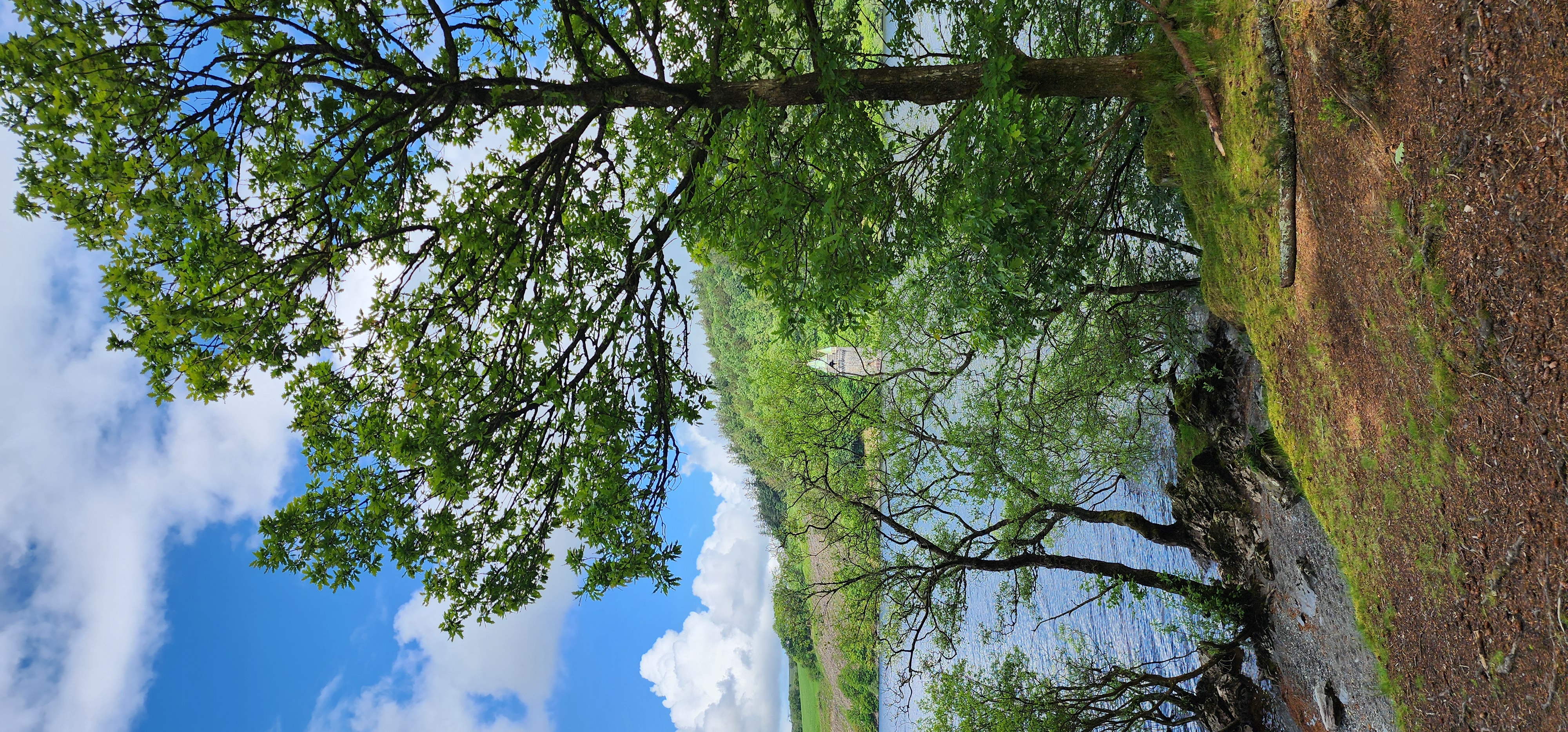 Lake Vyrnwy 250