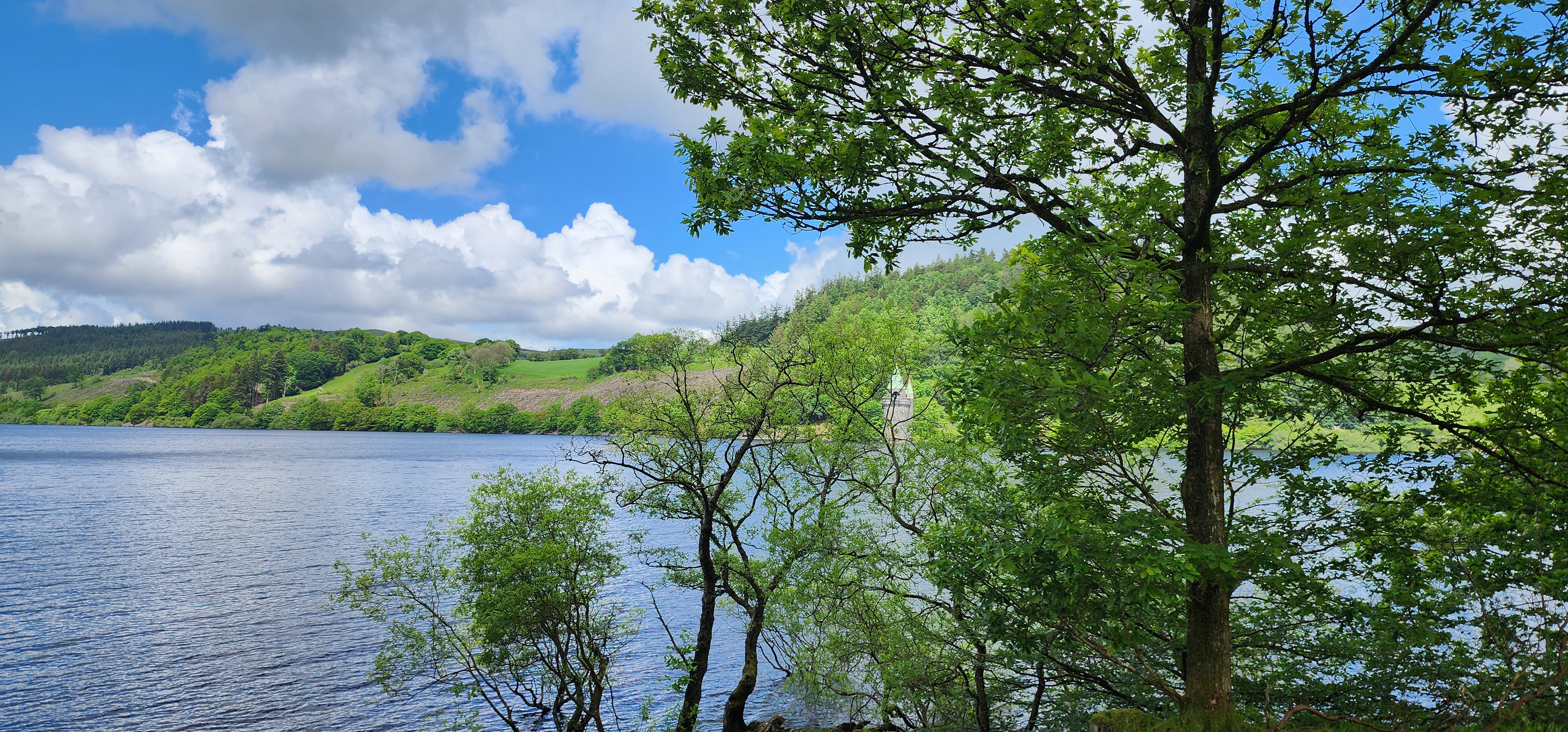 Lake Vyrnwy 251