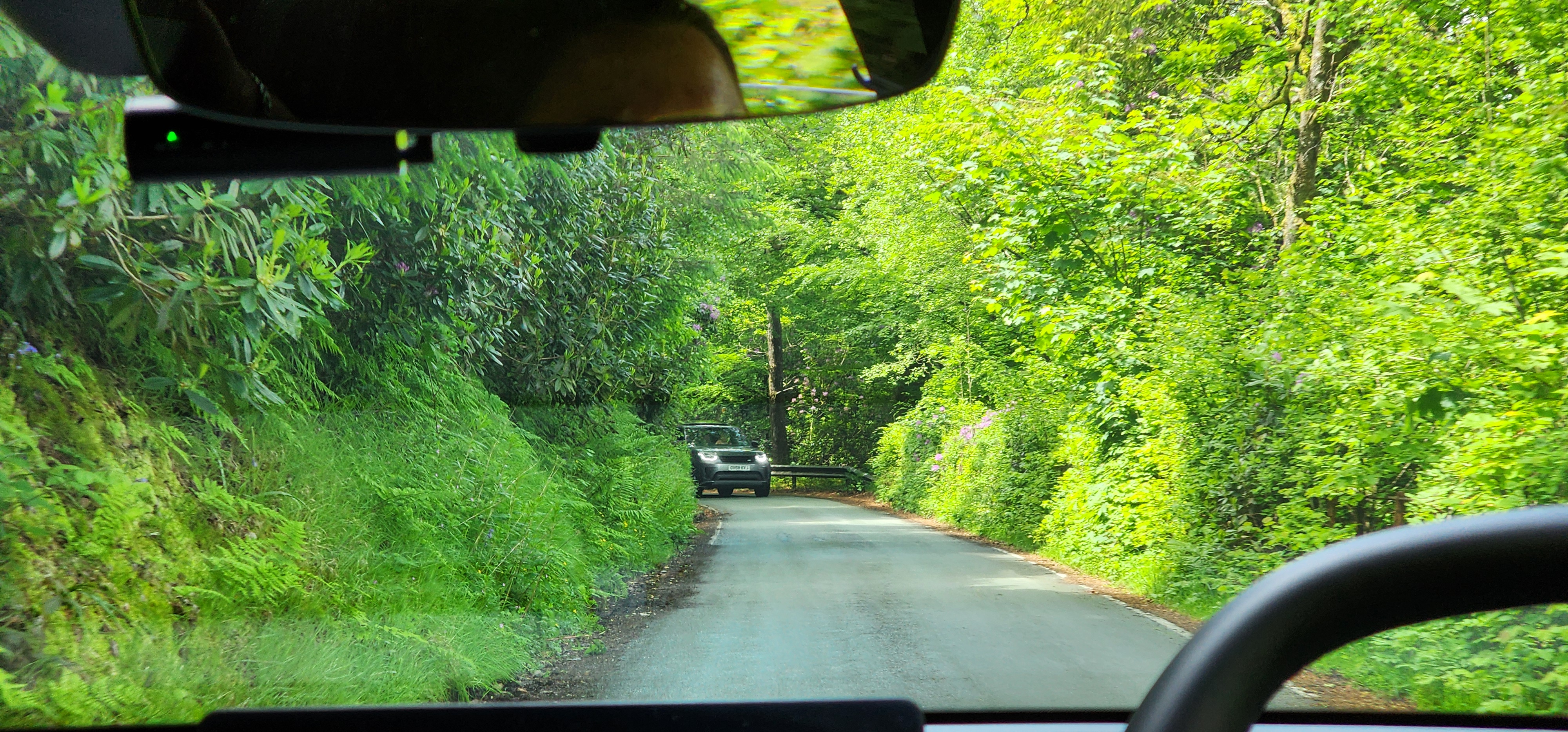 Lake Vyrnwy 265