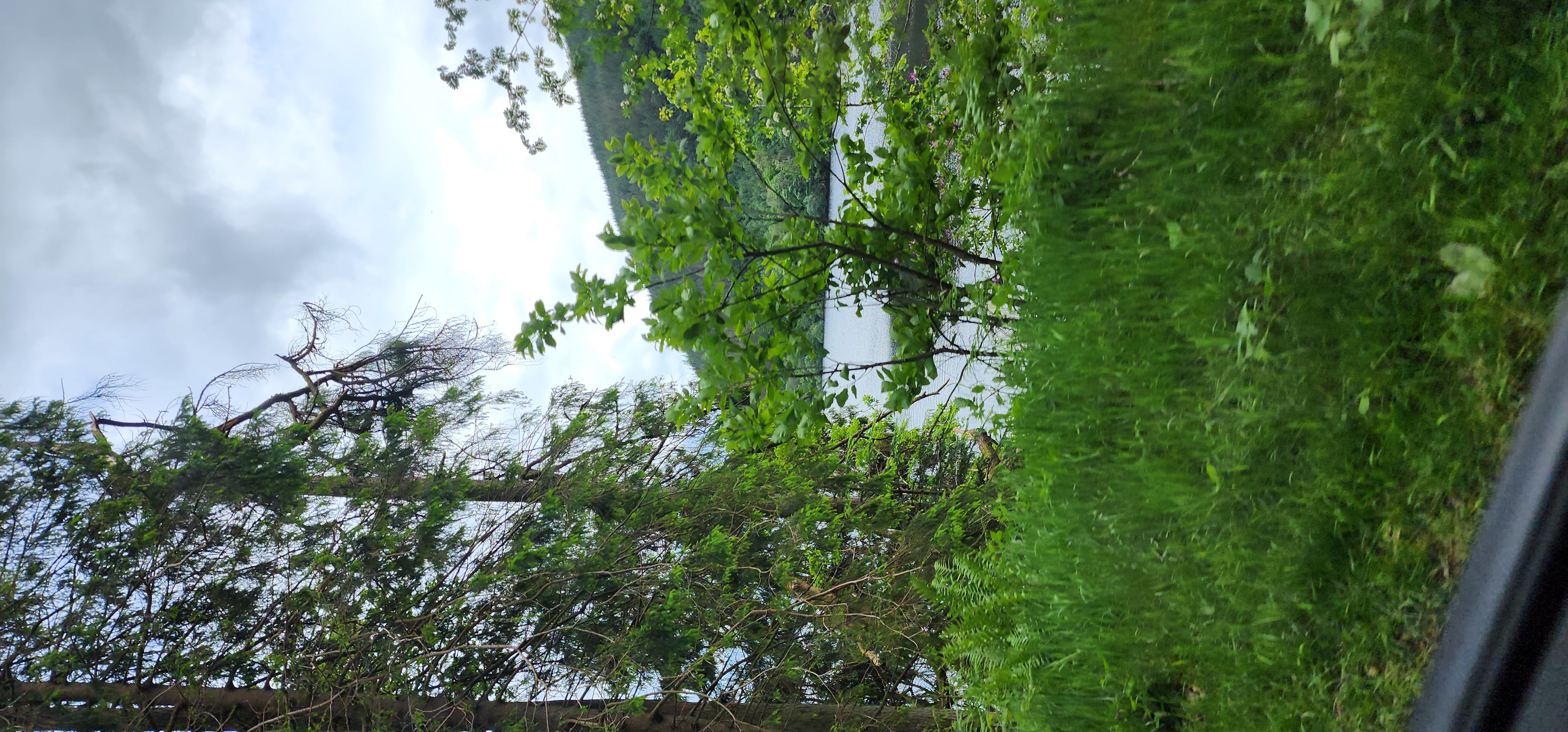 Lake Vyrnwy 268