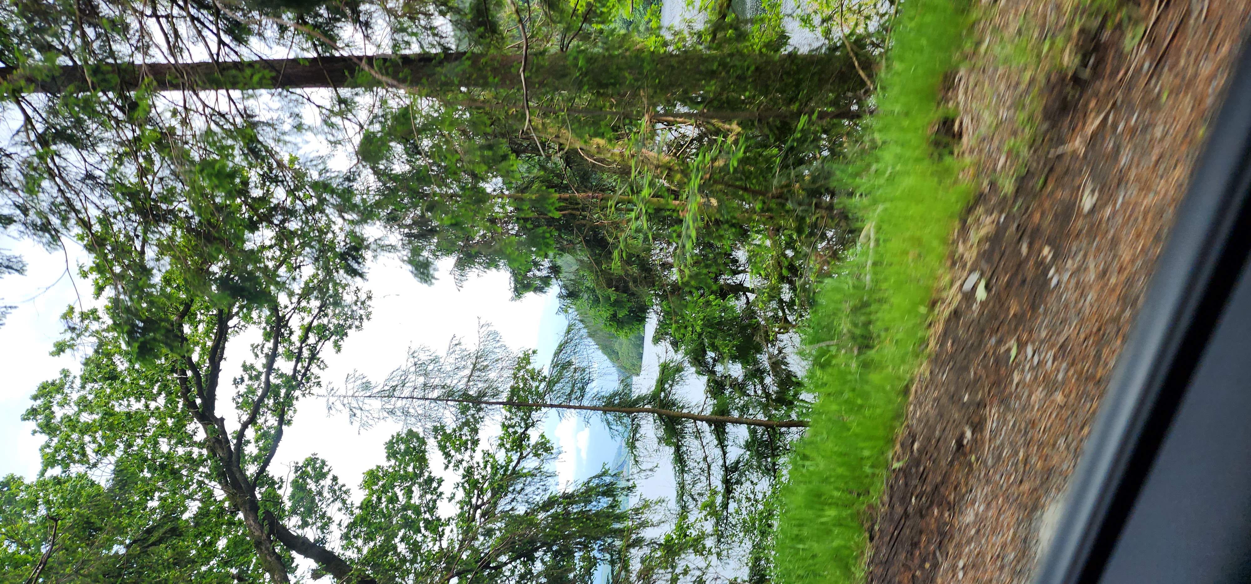 Lake Vyrnwy 269