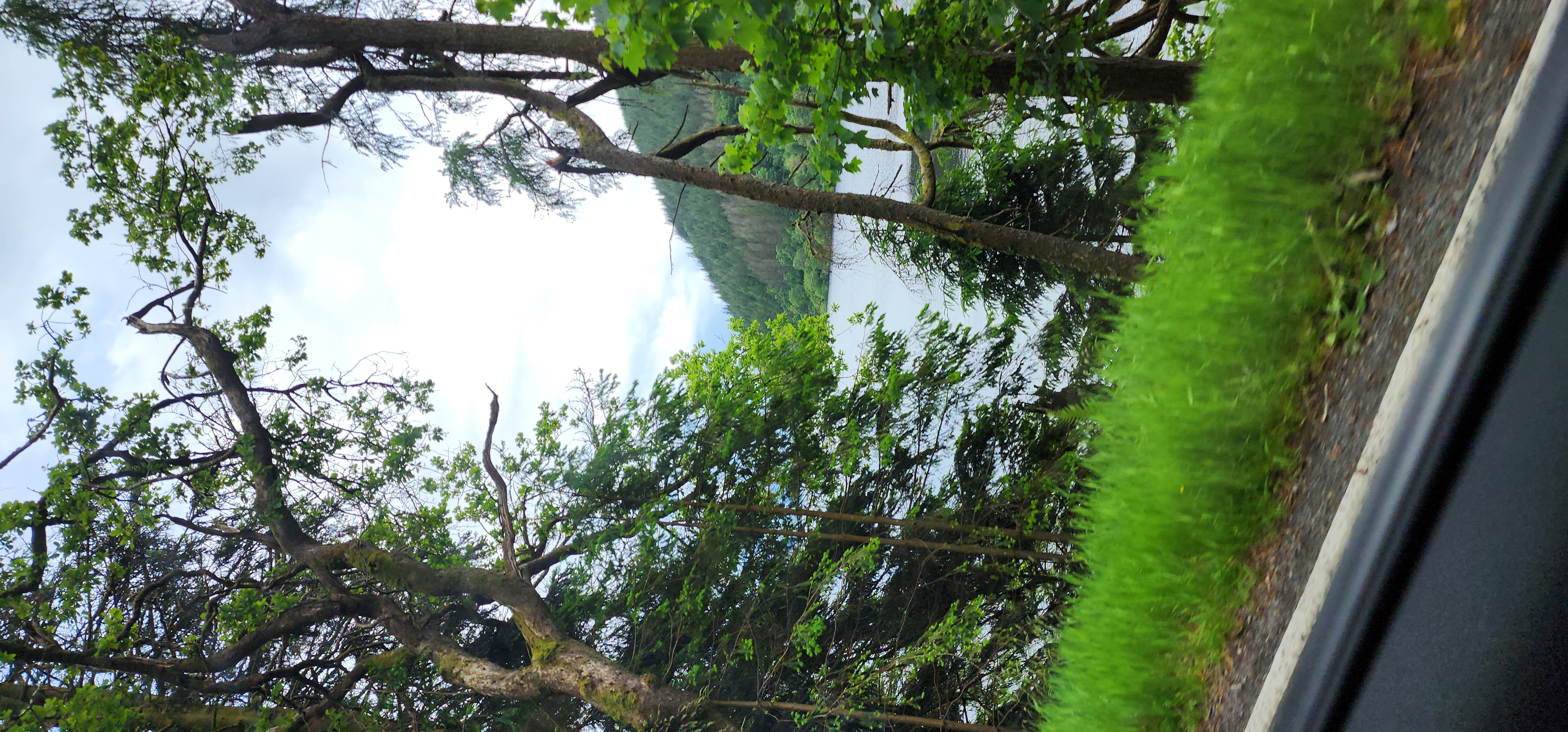 Lake Vyrnwy 270