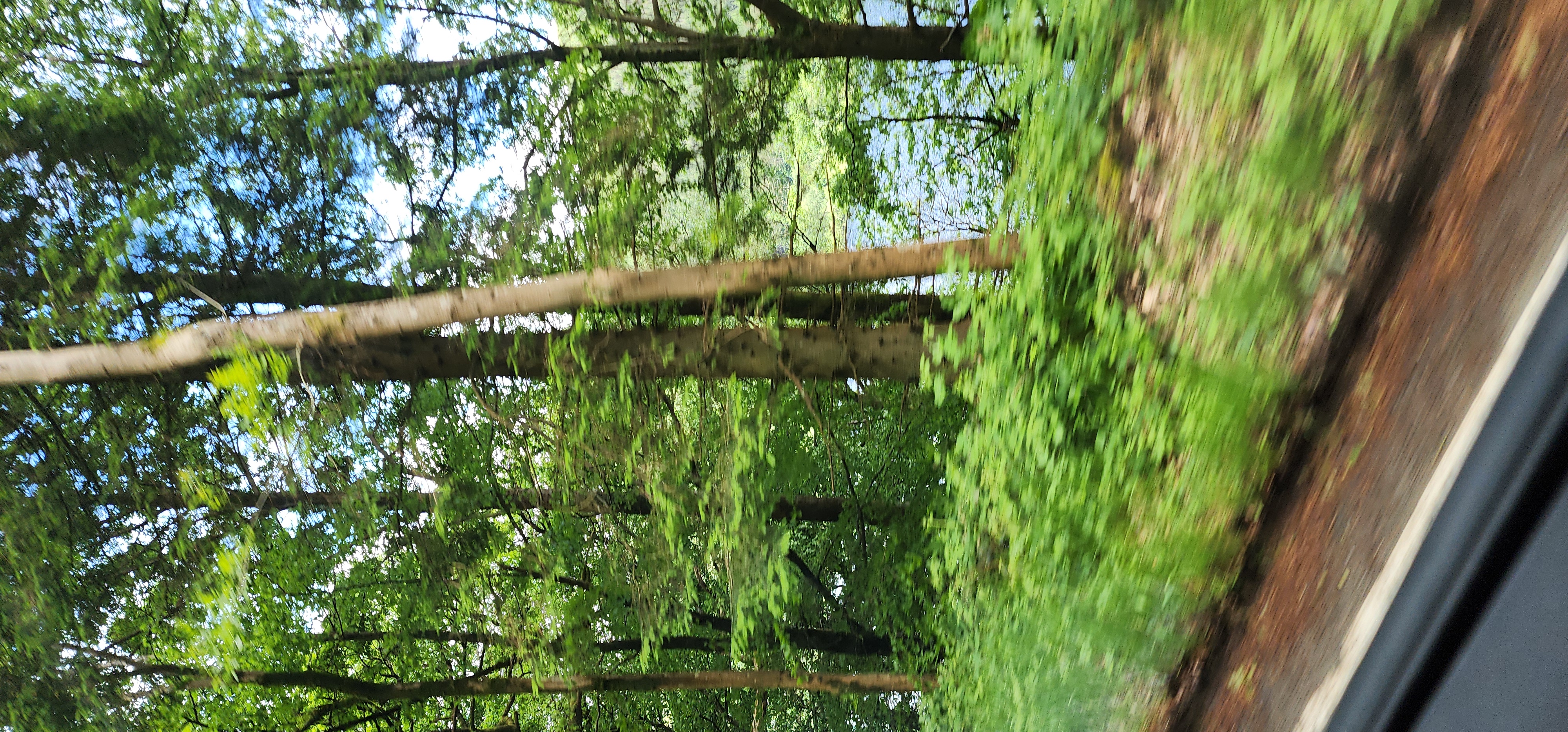 Lake Vyrnwy 274