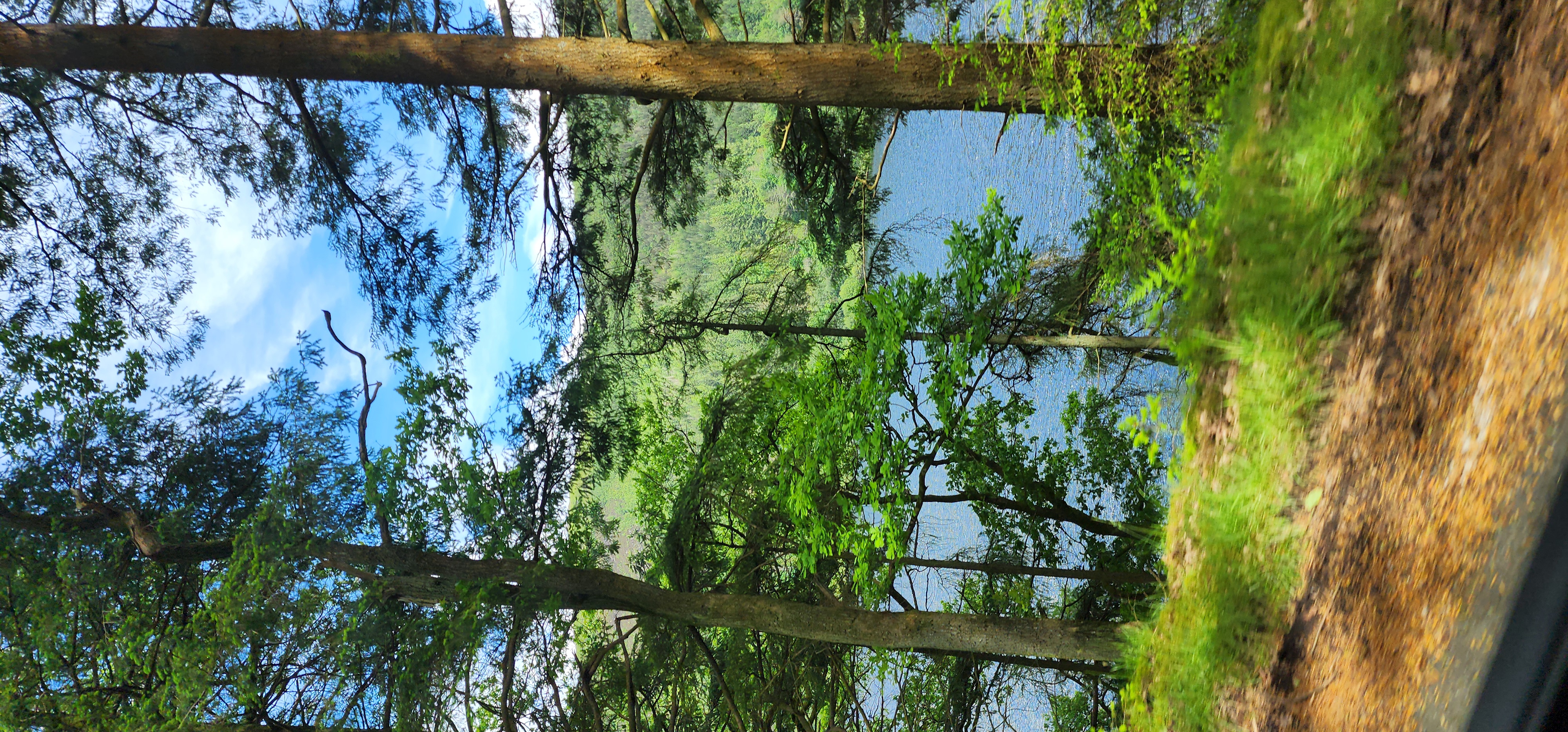 Lake Vyrnwy 276