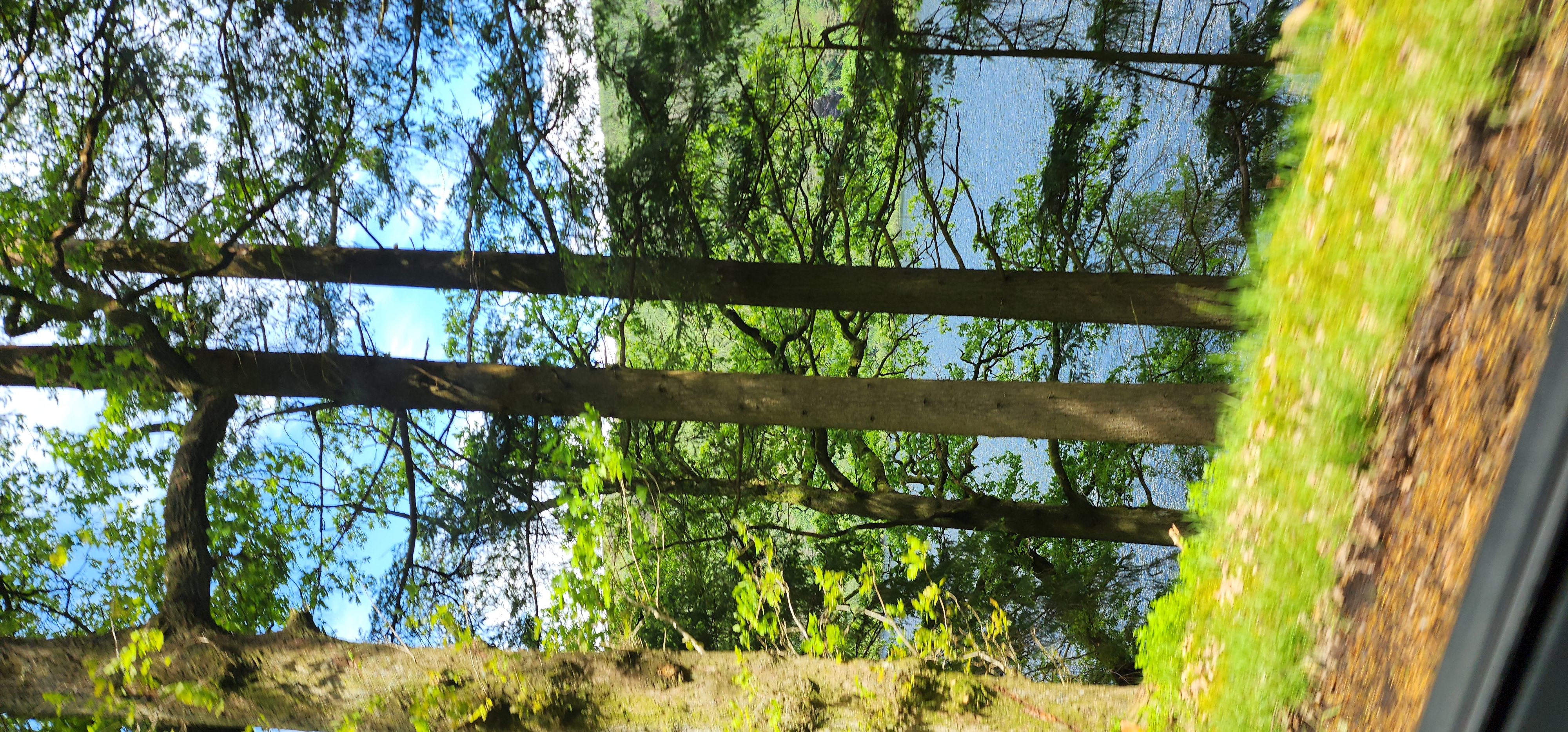 Lake Vyrnwy 277