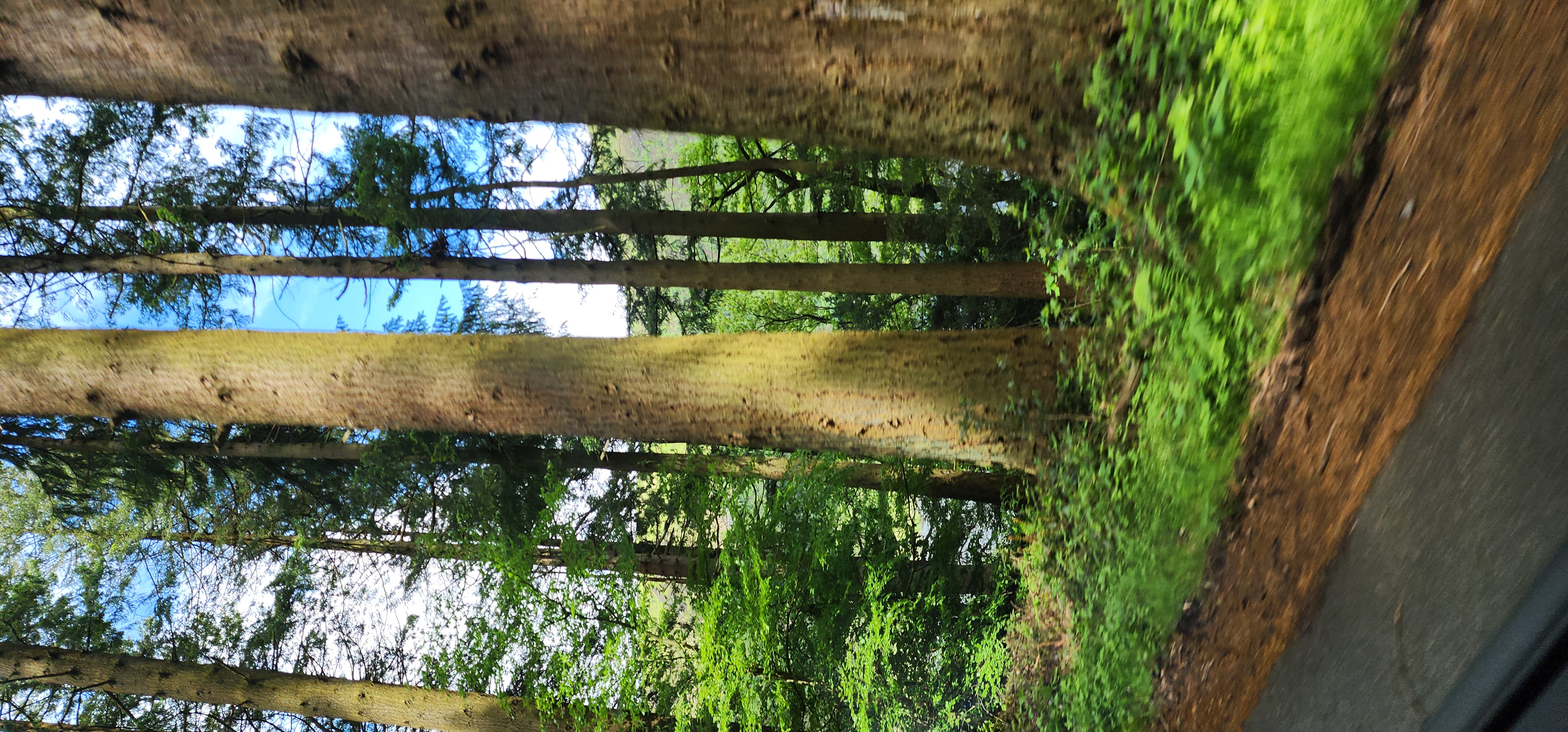 Lake Vyrnwy 280