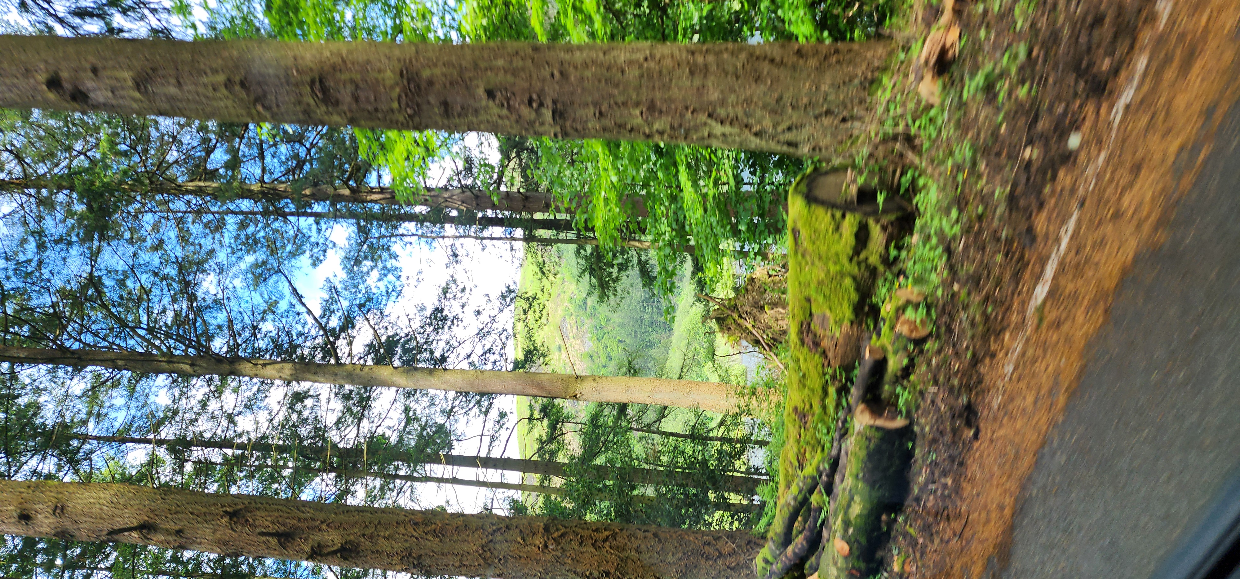 Lake Vyrnwy 281