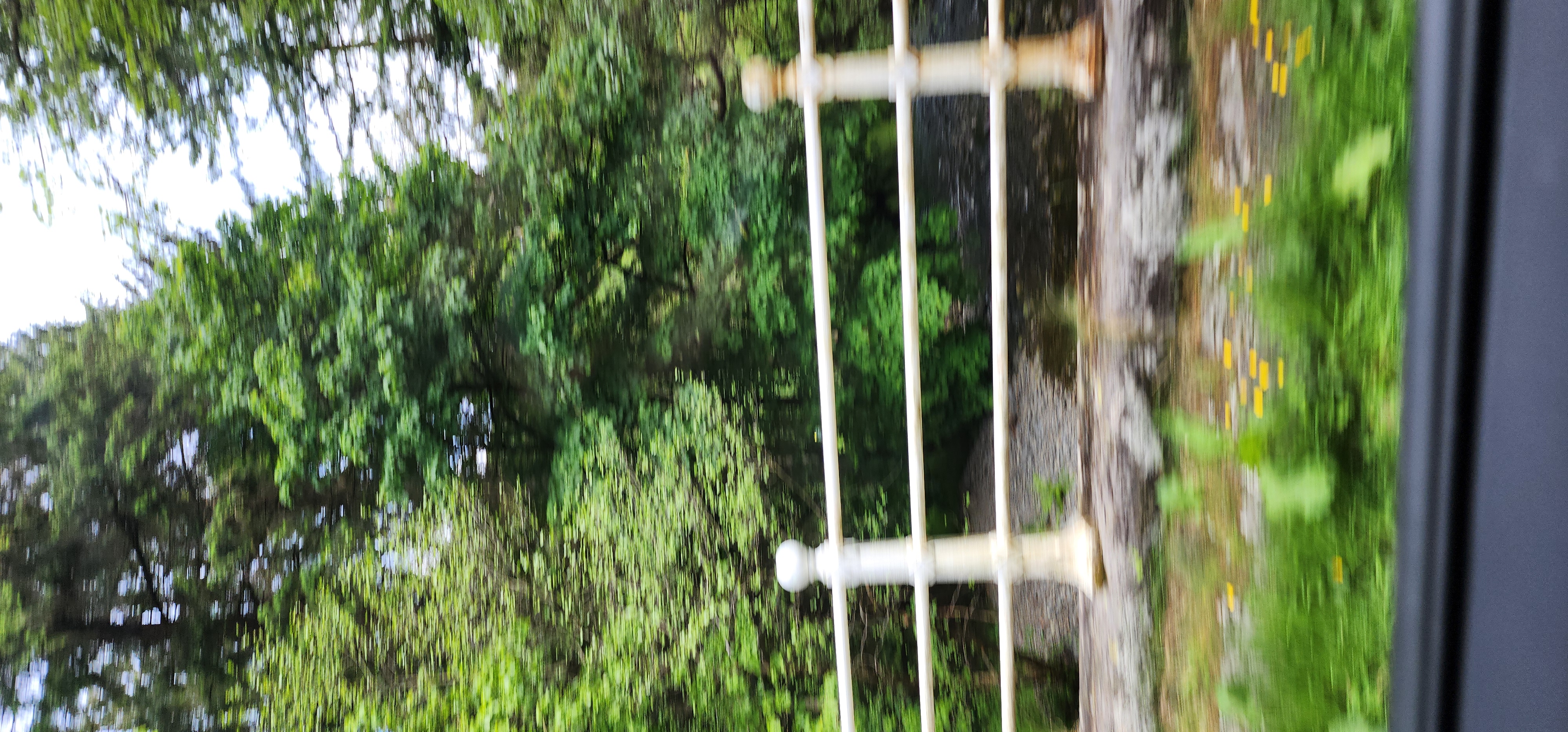 Lake Vyrnwy 283