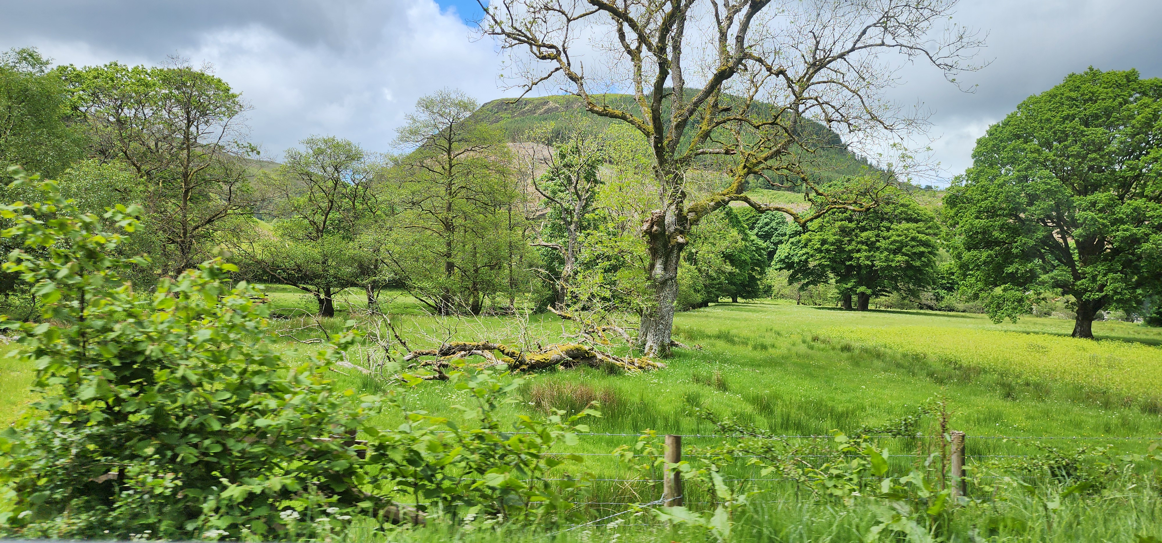 Lake Vyrnwy 284