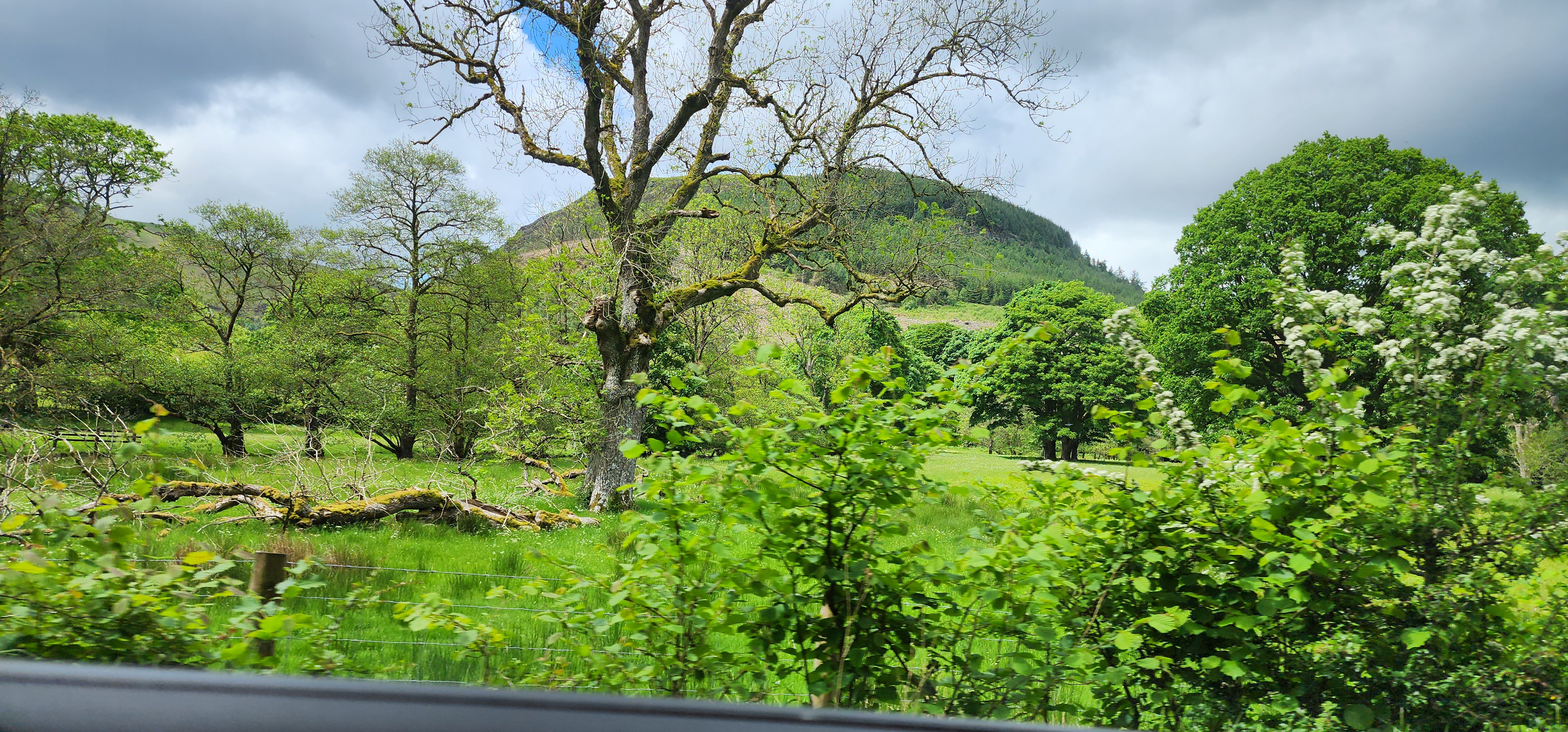 Lake Vyrnwy 285