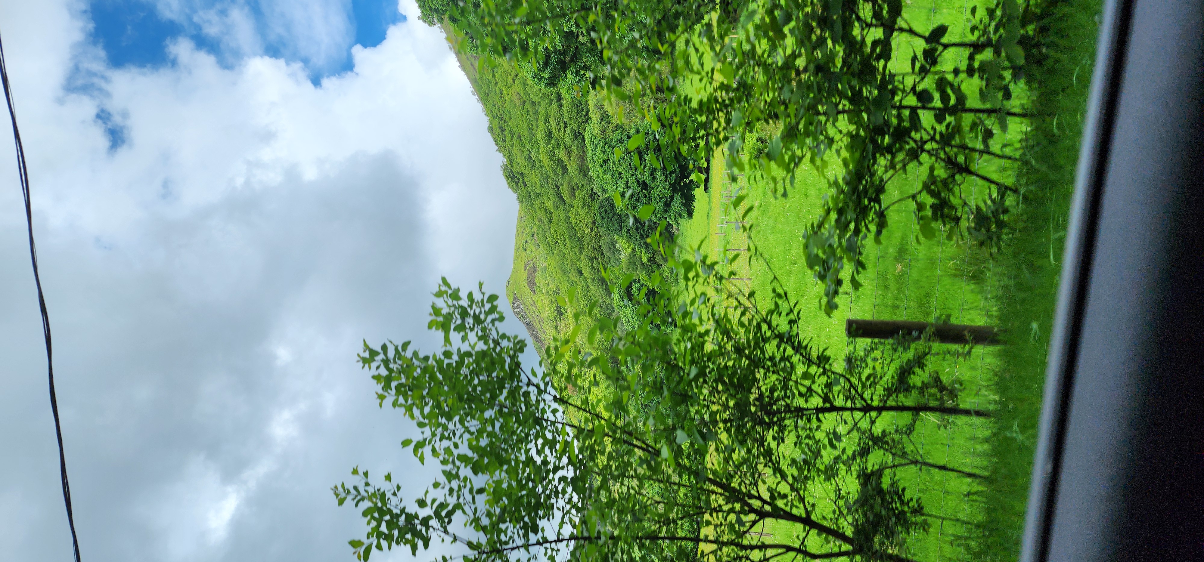 Lake Vyrnwy 289