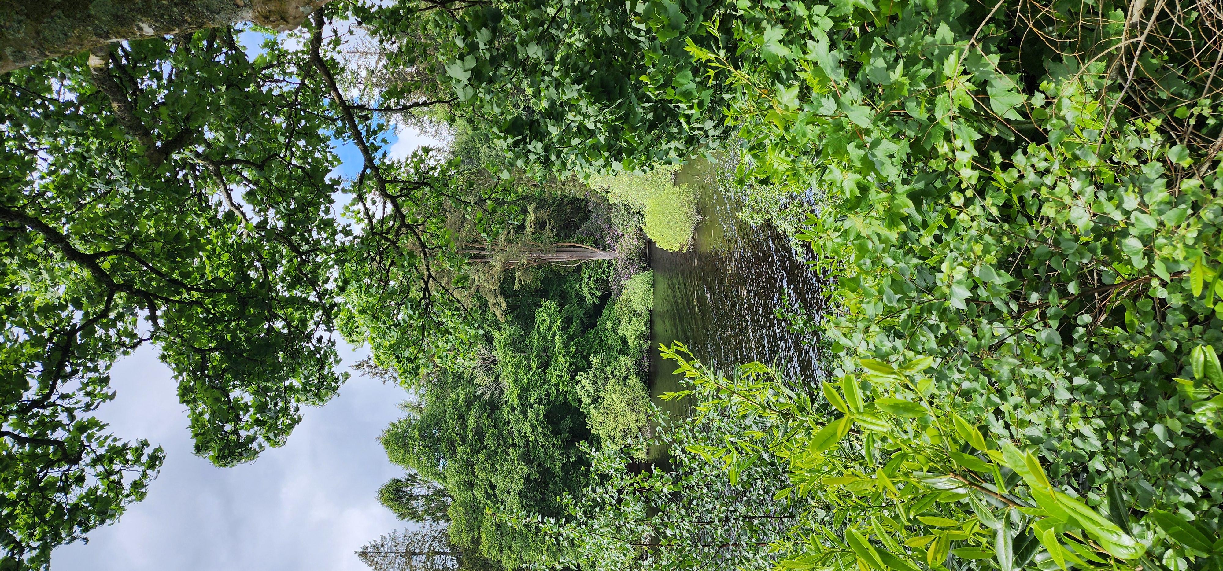 Lake Vyrnwy 294