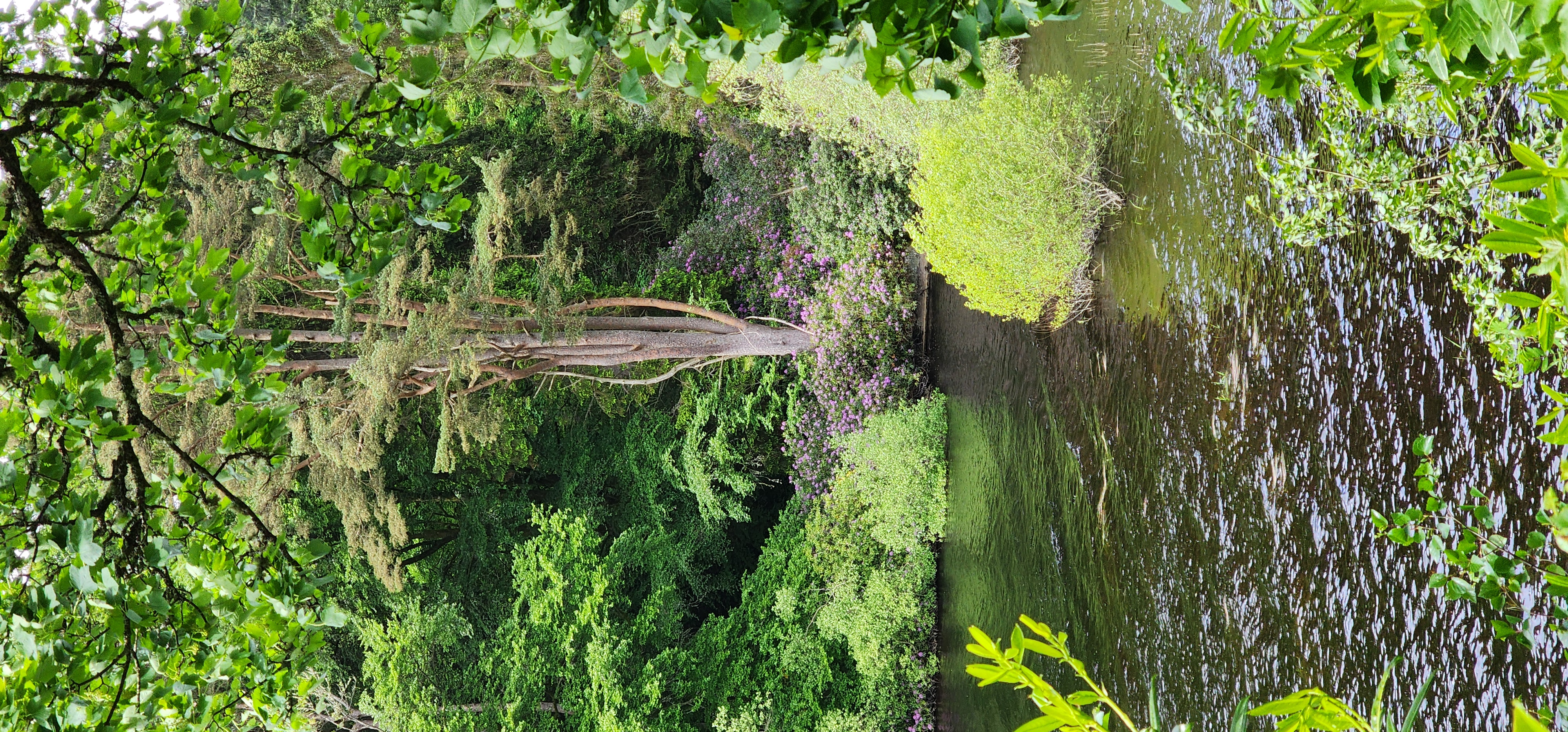Lake Vyrnwy 296