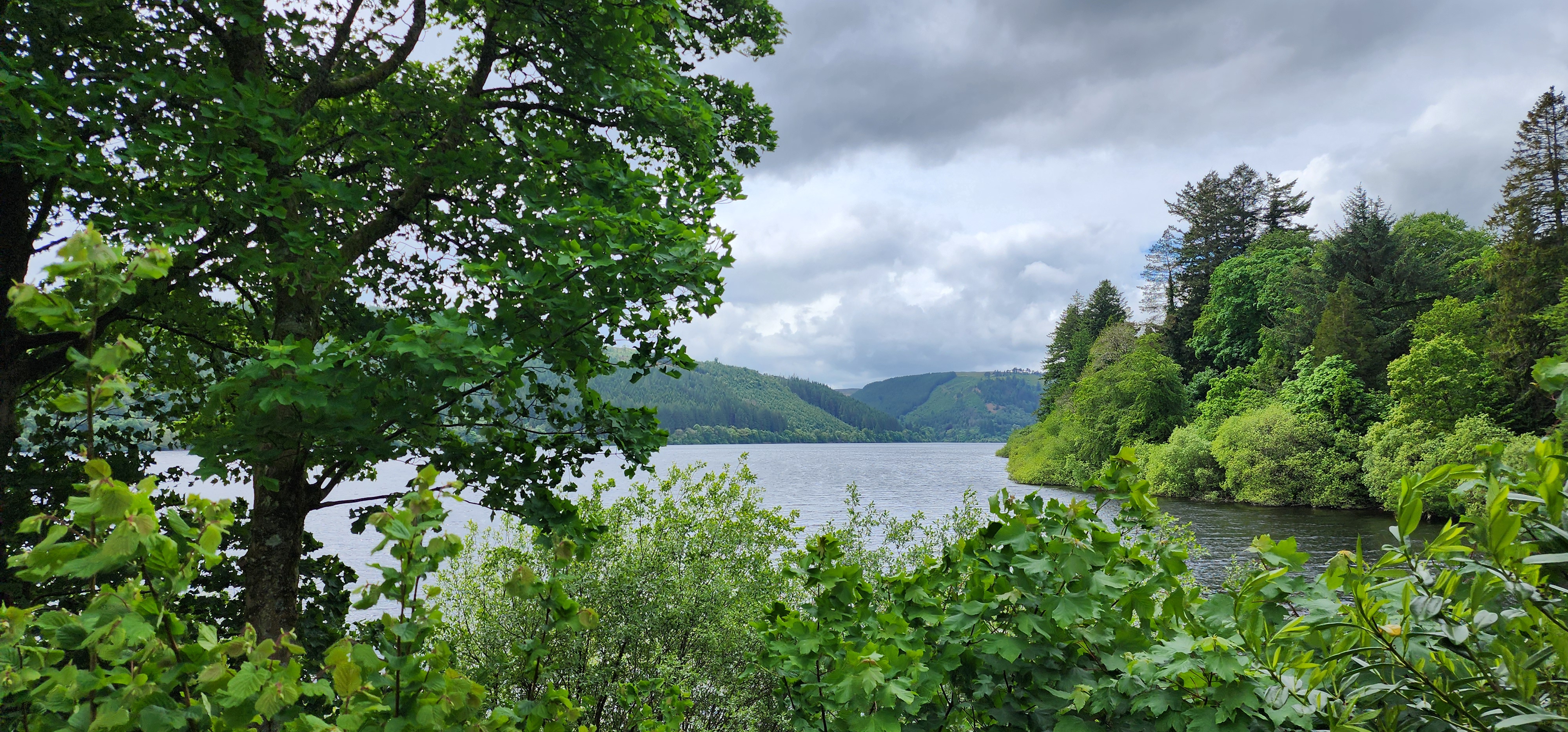 Lake Vyrnwy 297