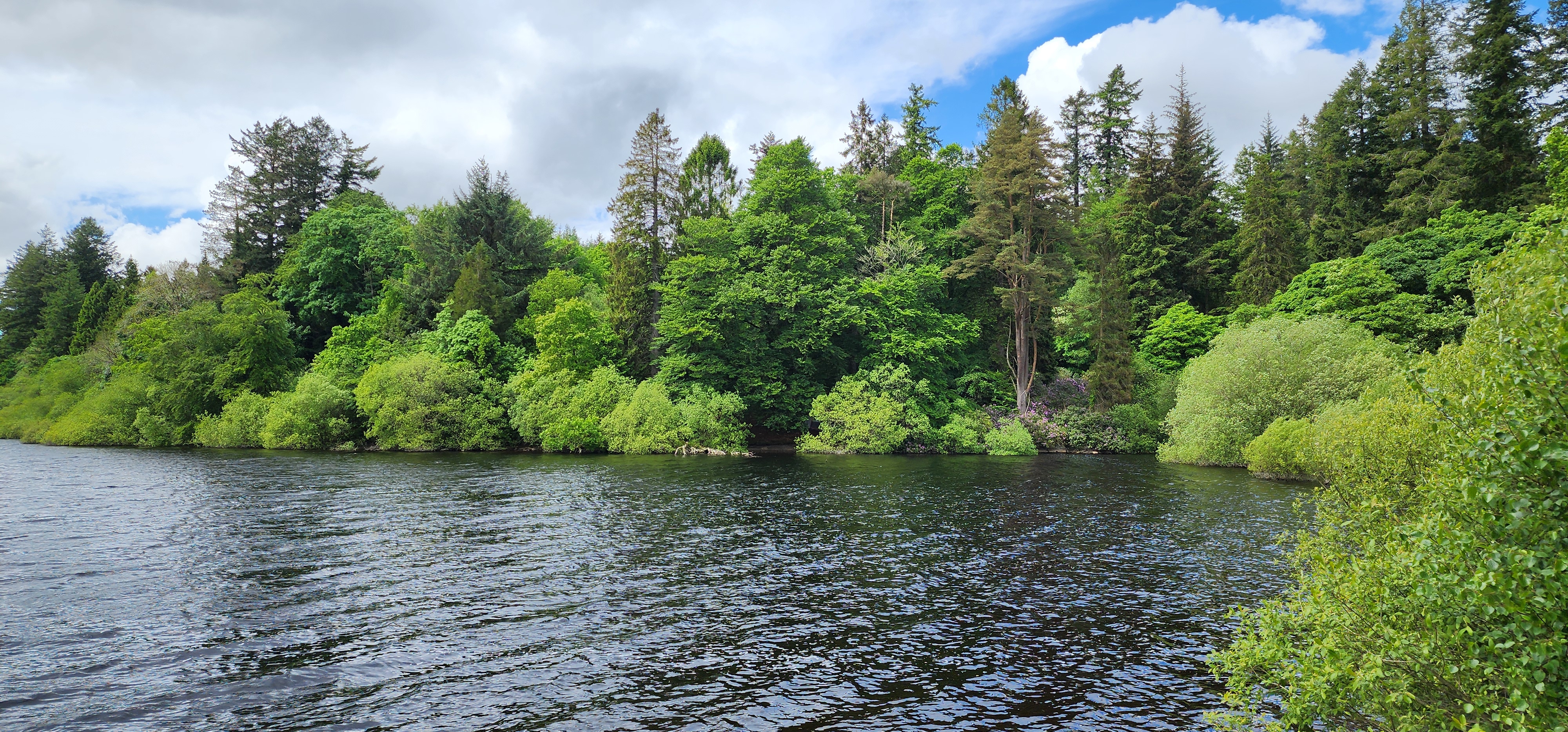Lake Vyrnwy 299