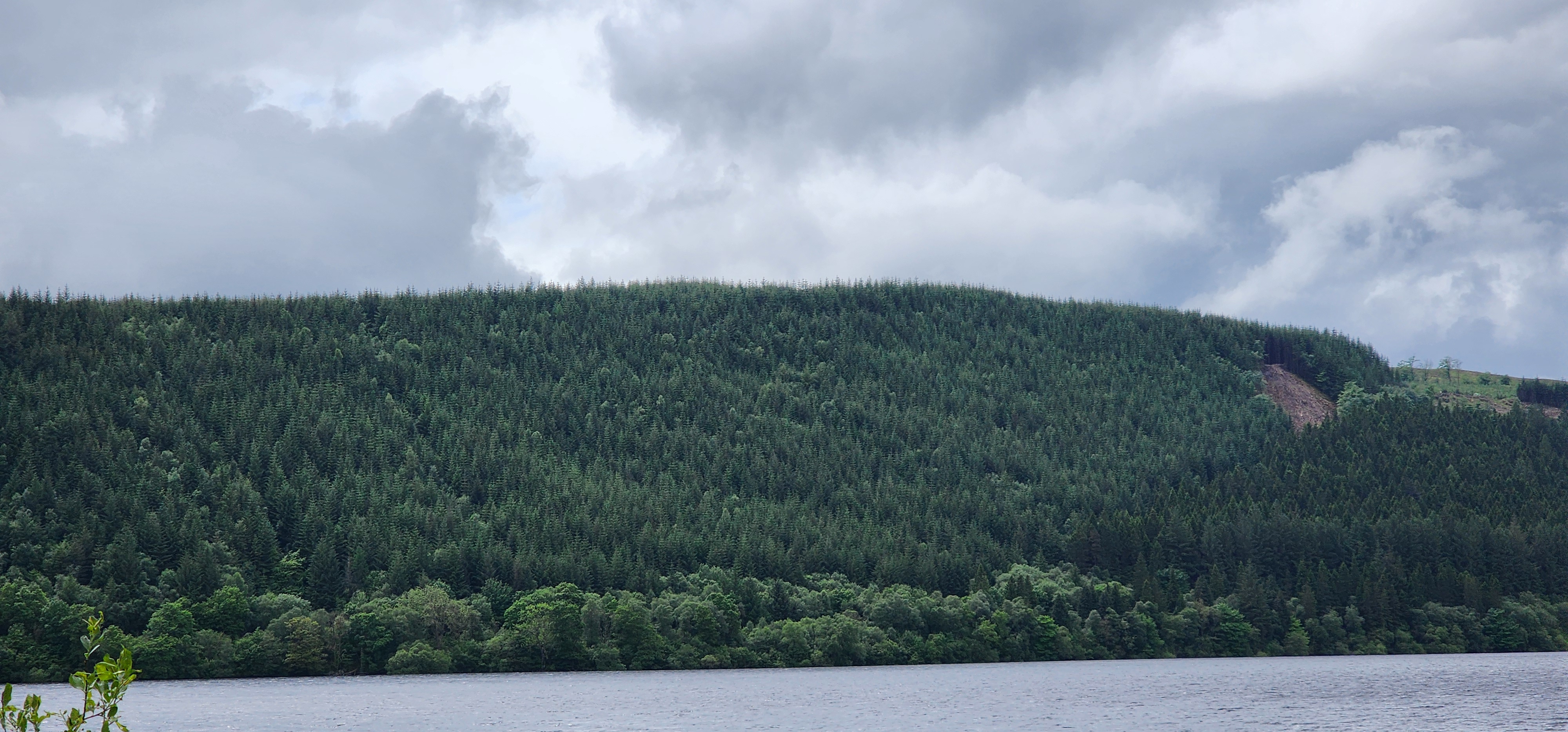 Lake Vyrnwy 304