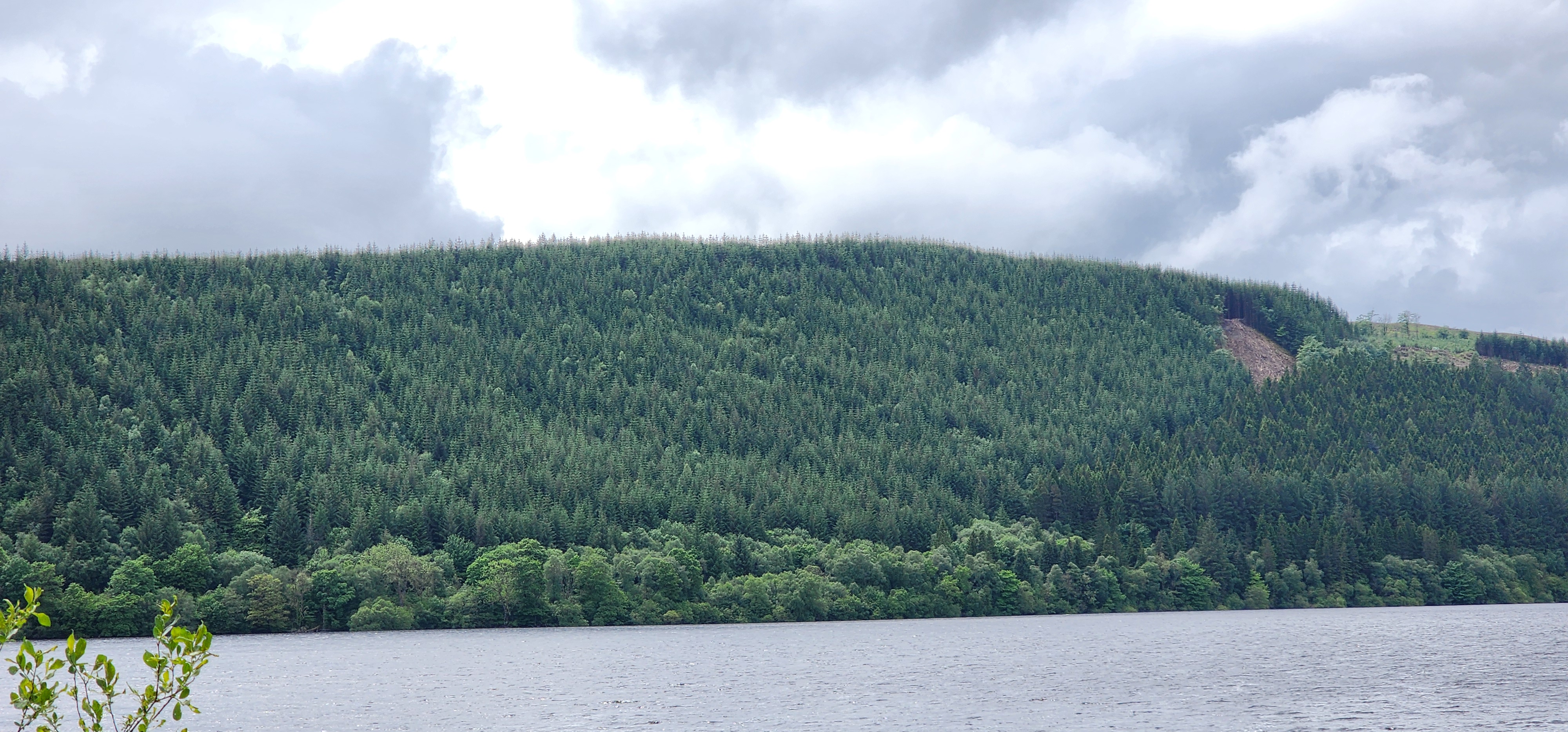 Lake Vyrnwy 305