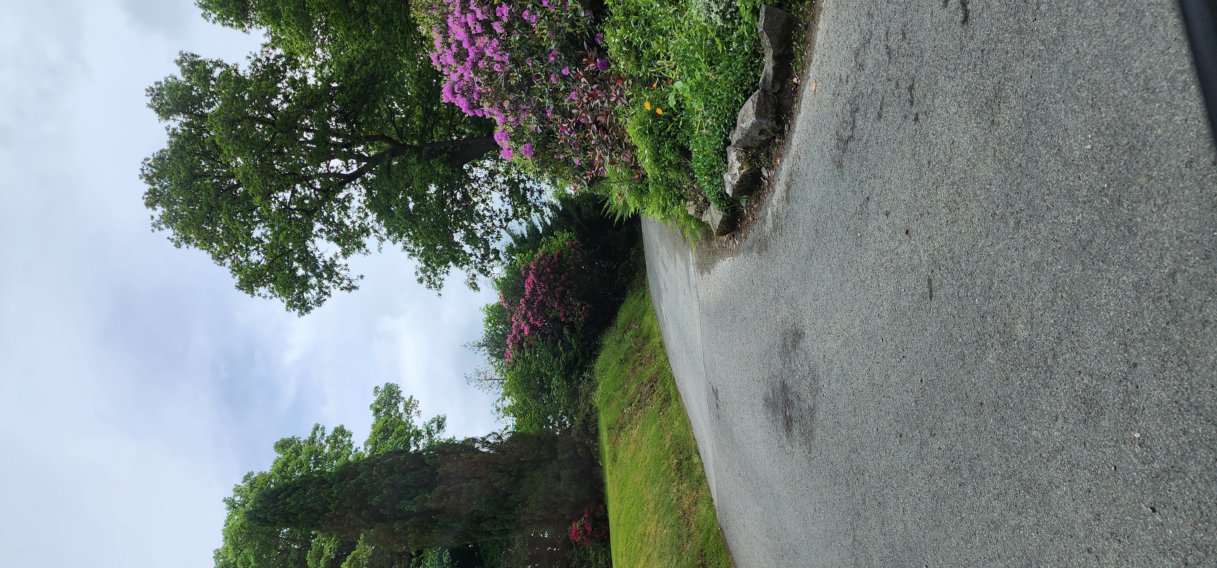 Lake Vyrnwy 308