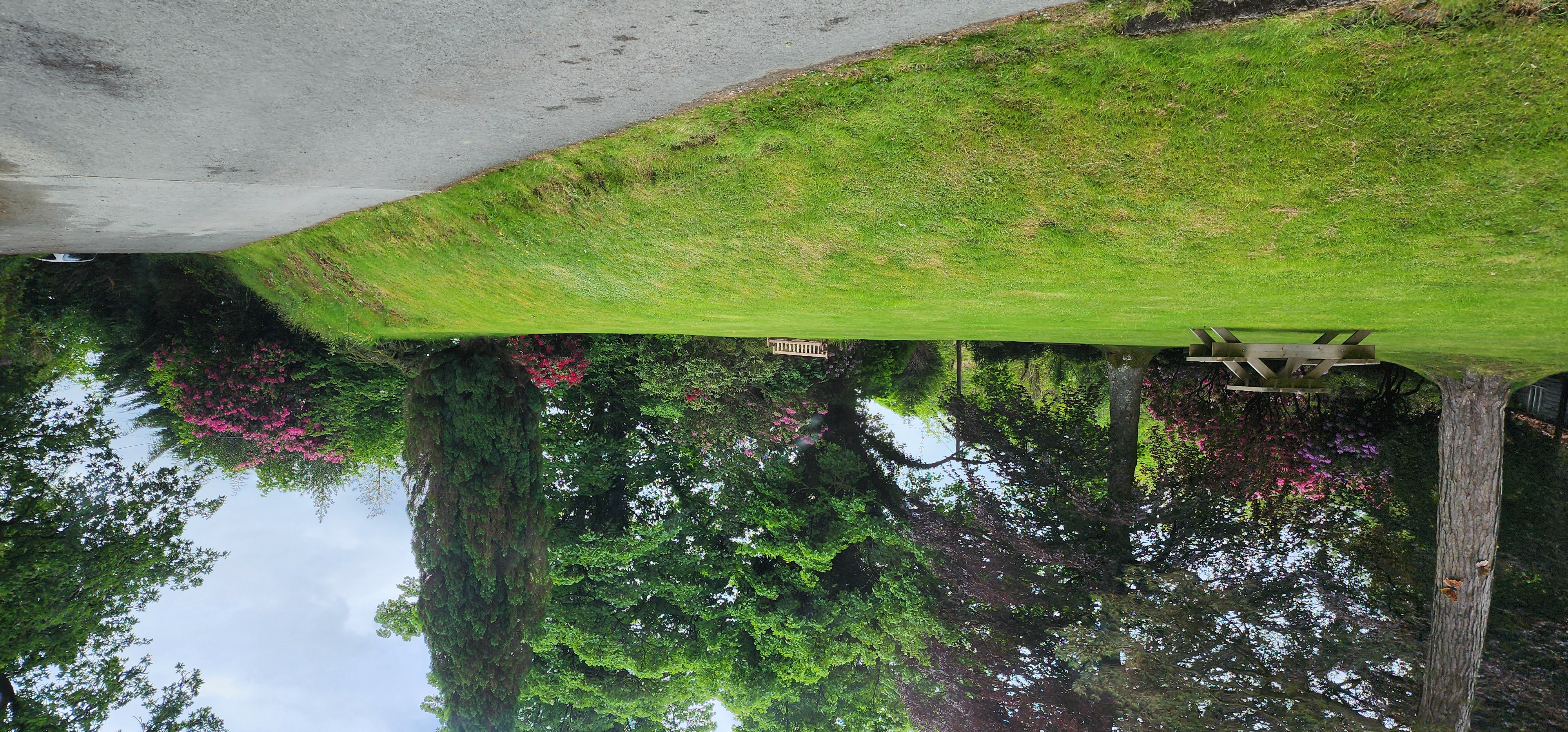 Lake Vyrnwy 309