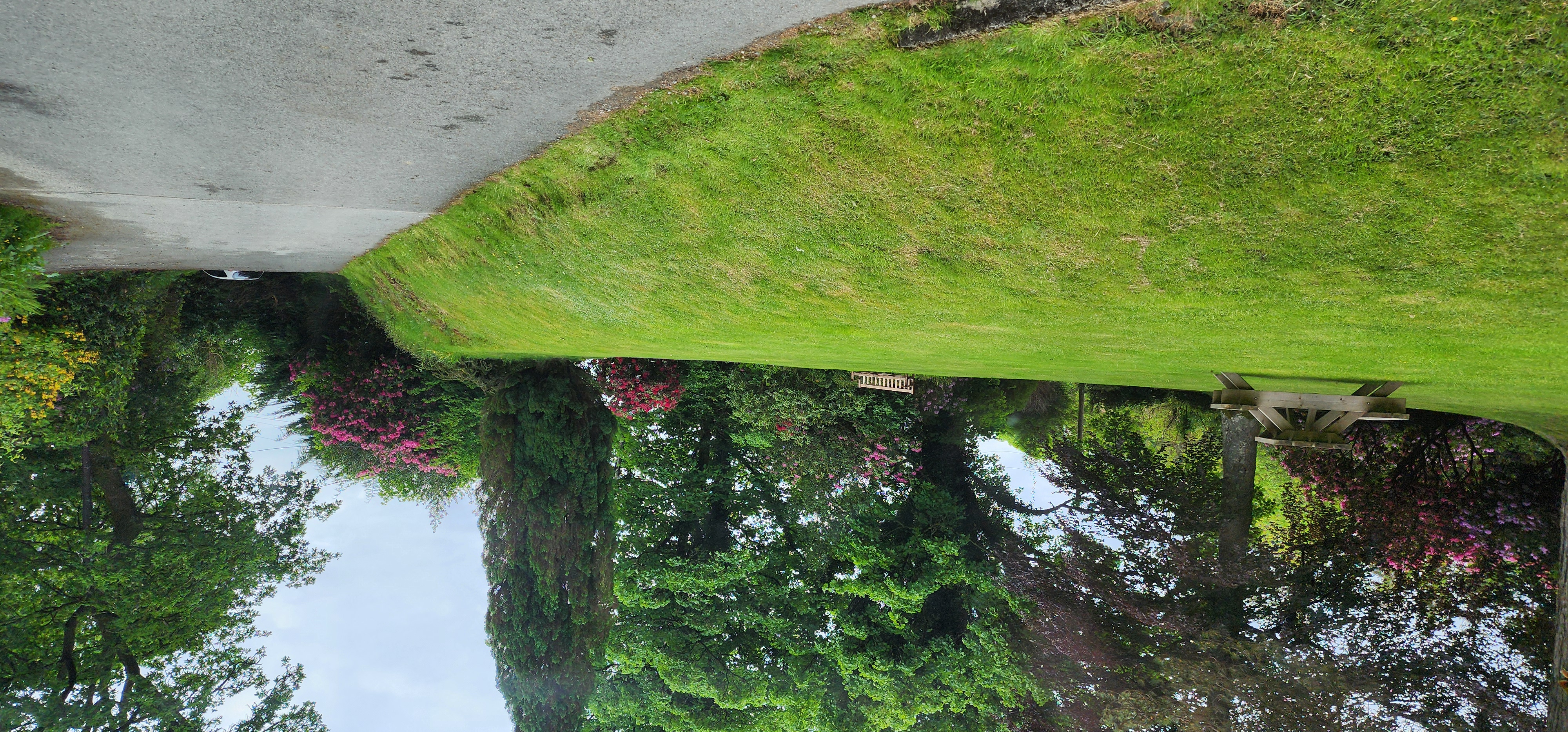 Lake Vyrnwy 310